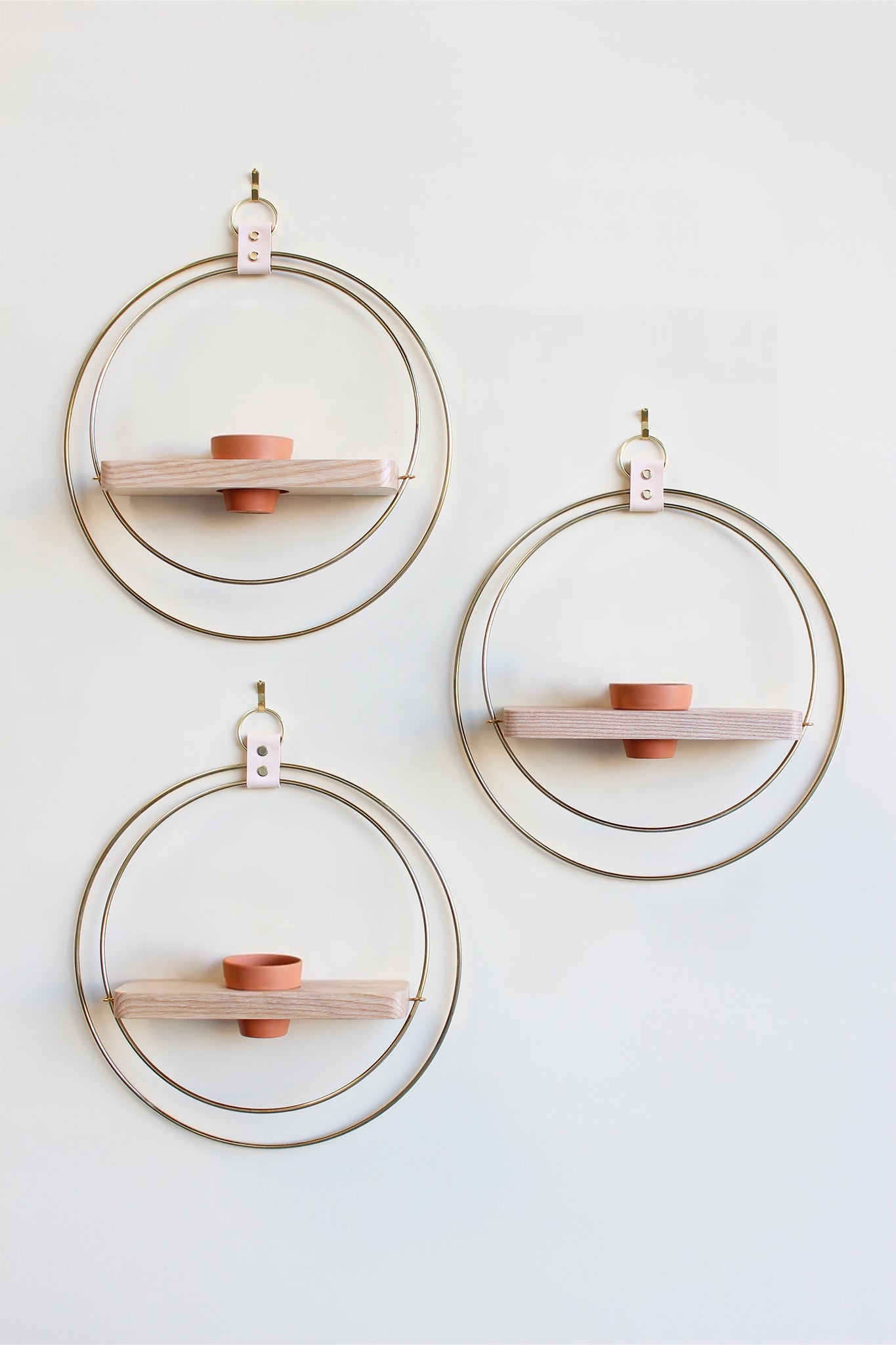 three gold circular plant wall mounted plant shelves with mini terracotta pot on a white background