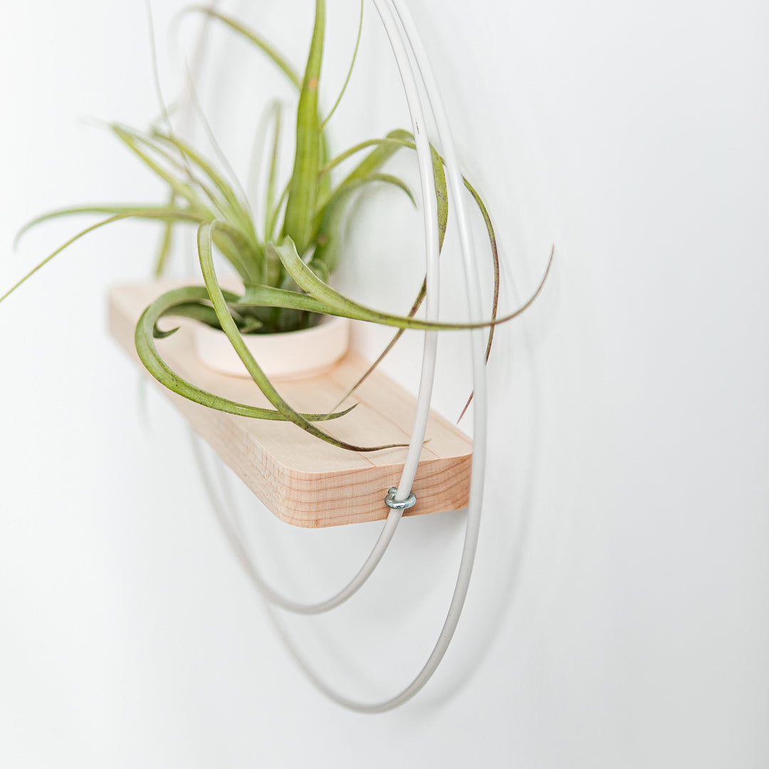 side view of maple plant shelf with white metal and blush pot