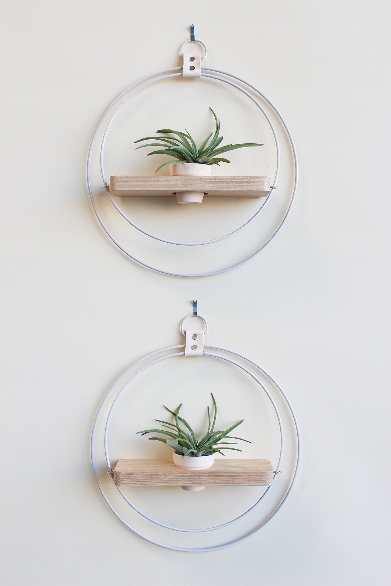 modern wall mounted white circular plant shelf for air plants