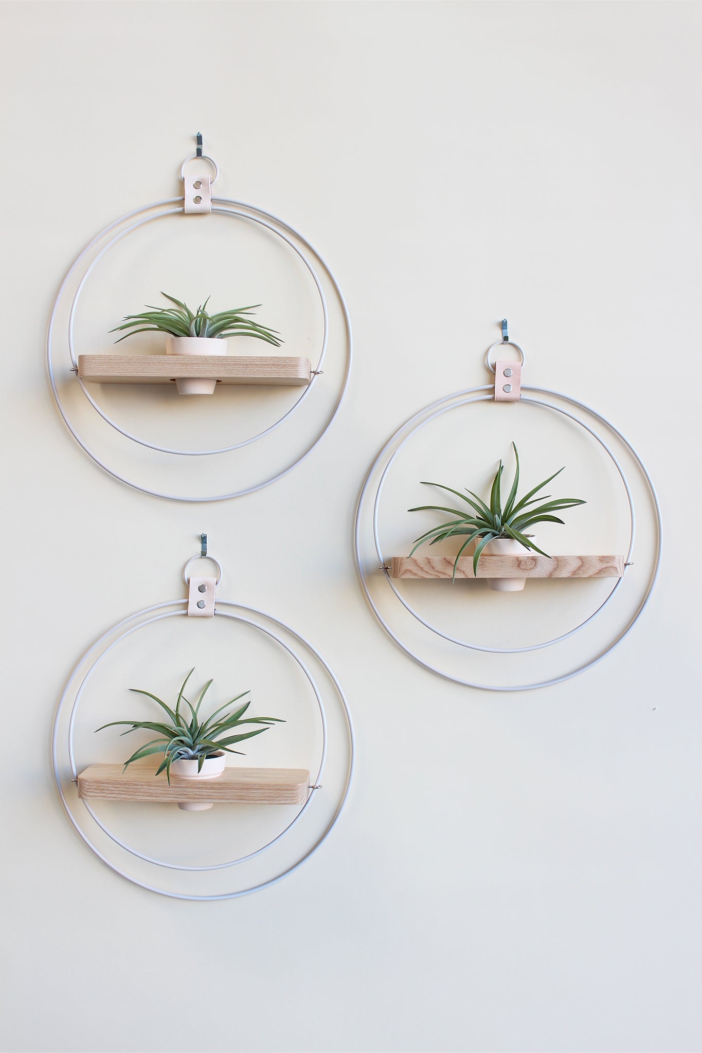 modern wall decor for air plants white circular wall mounted plant shelf light wood and mini blush
