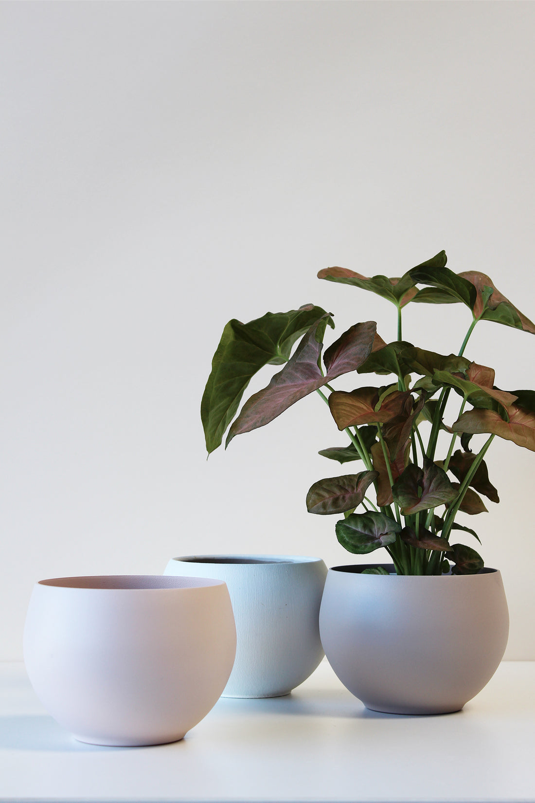 one blush colored aluminum pot with white and tan pots in the background