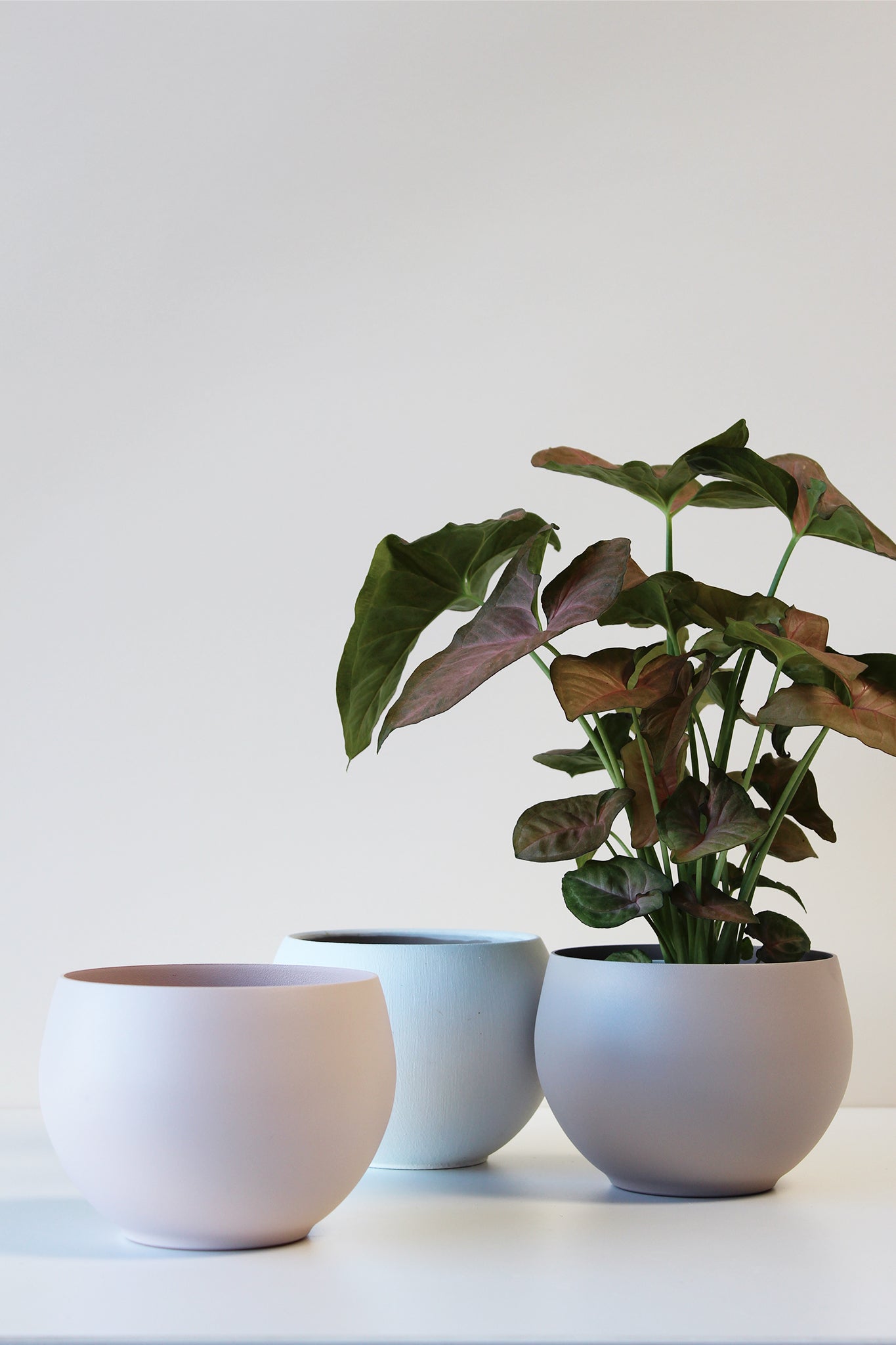 one blush colored aluminum pot with white and tan pots in the background