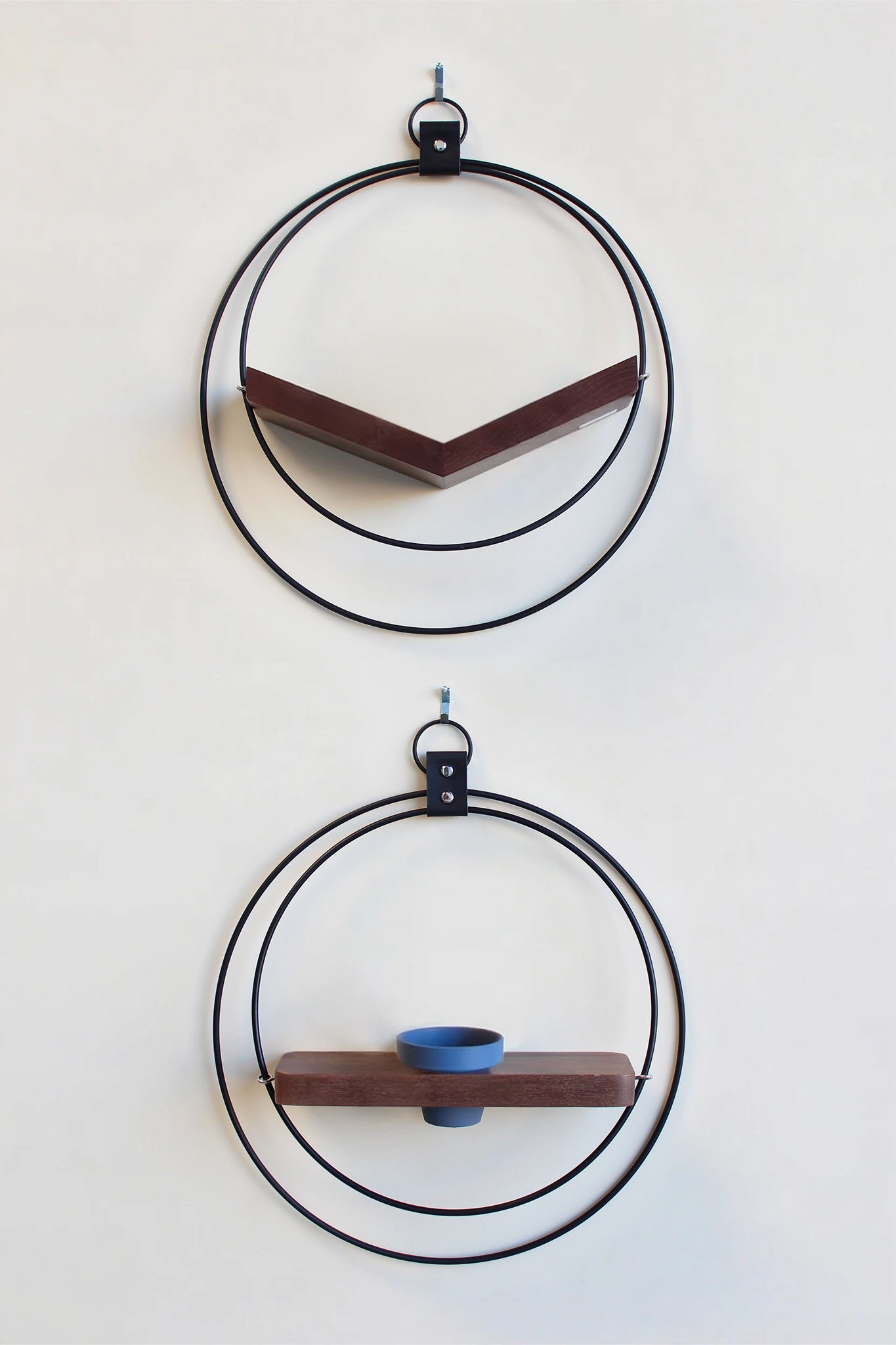 modern wall decor for air plants. matte black circular air plant holder with dark ash wood on white background