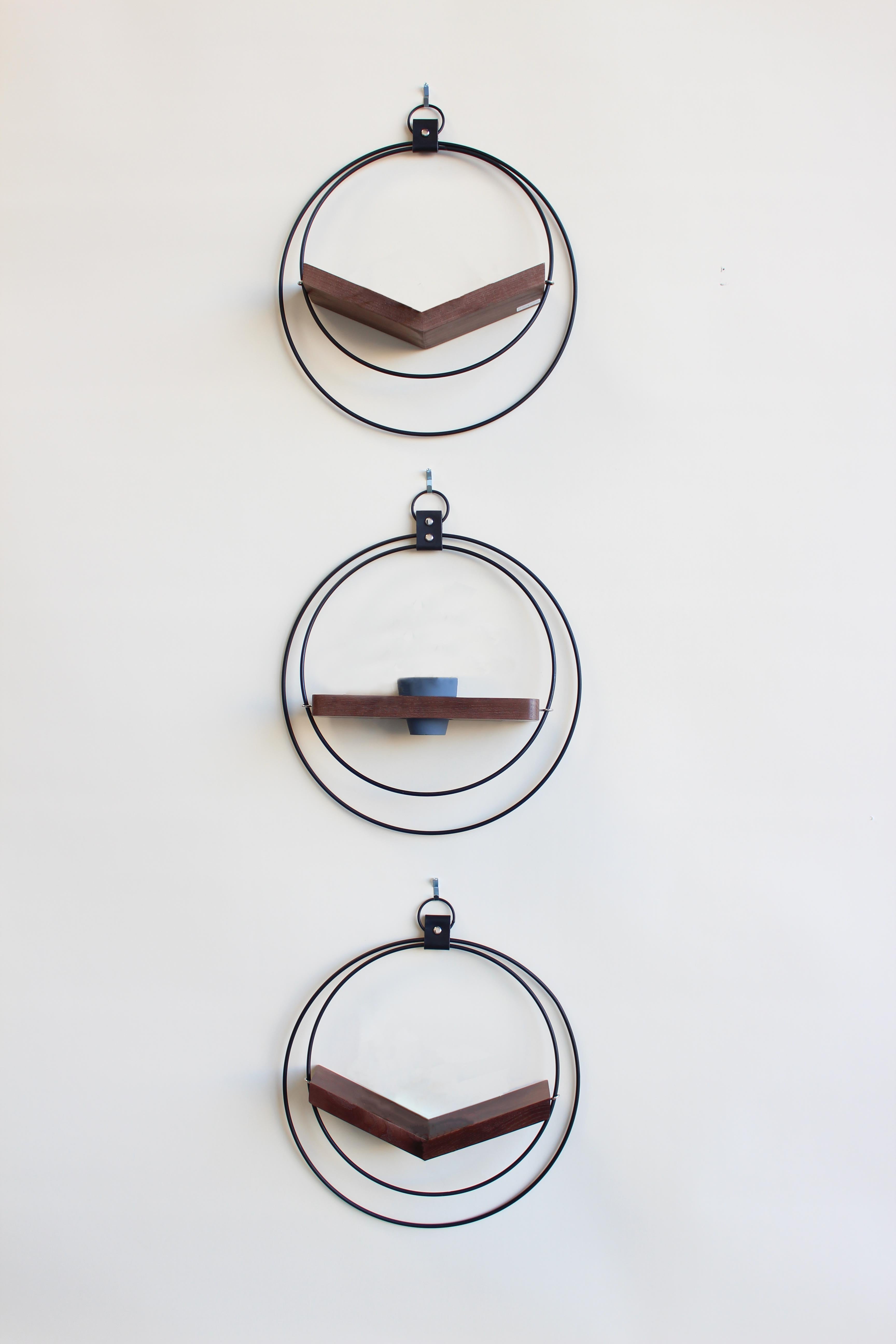 three black circular wall mounted plant hangers on white background