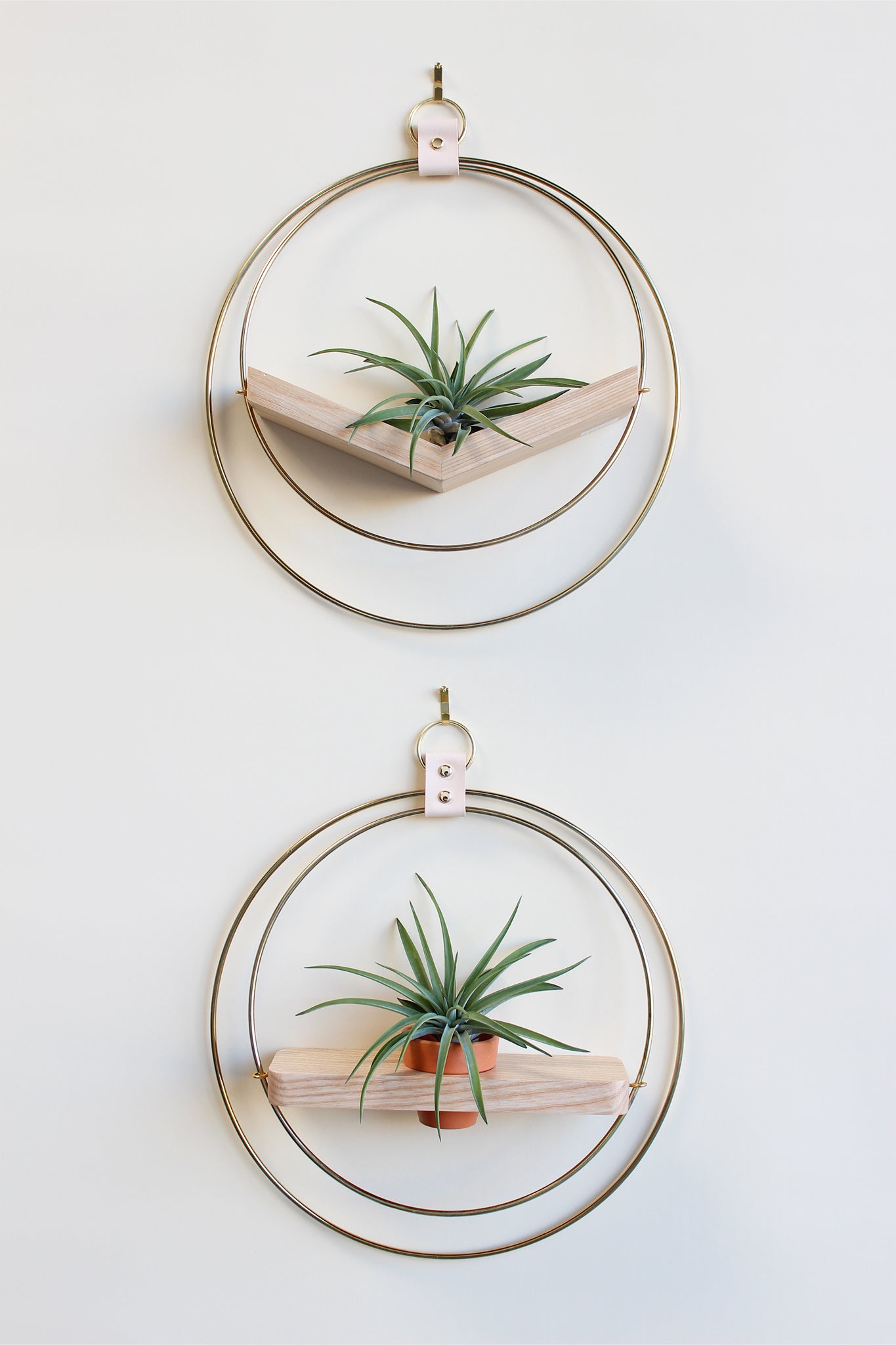 modern wall mounted decor for air plants, gold circular wall mounted planter