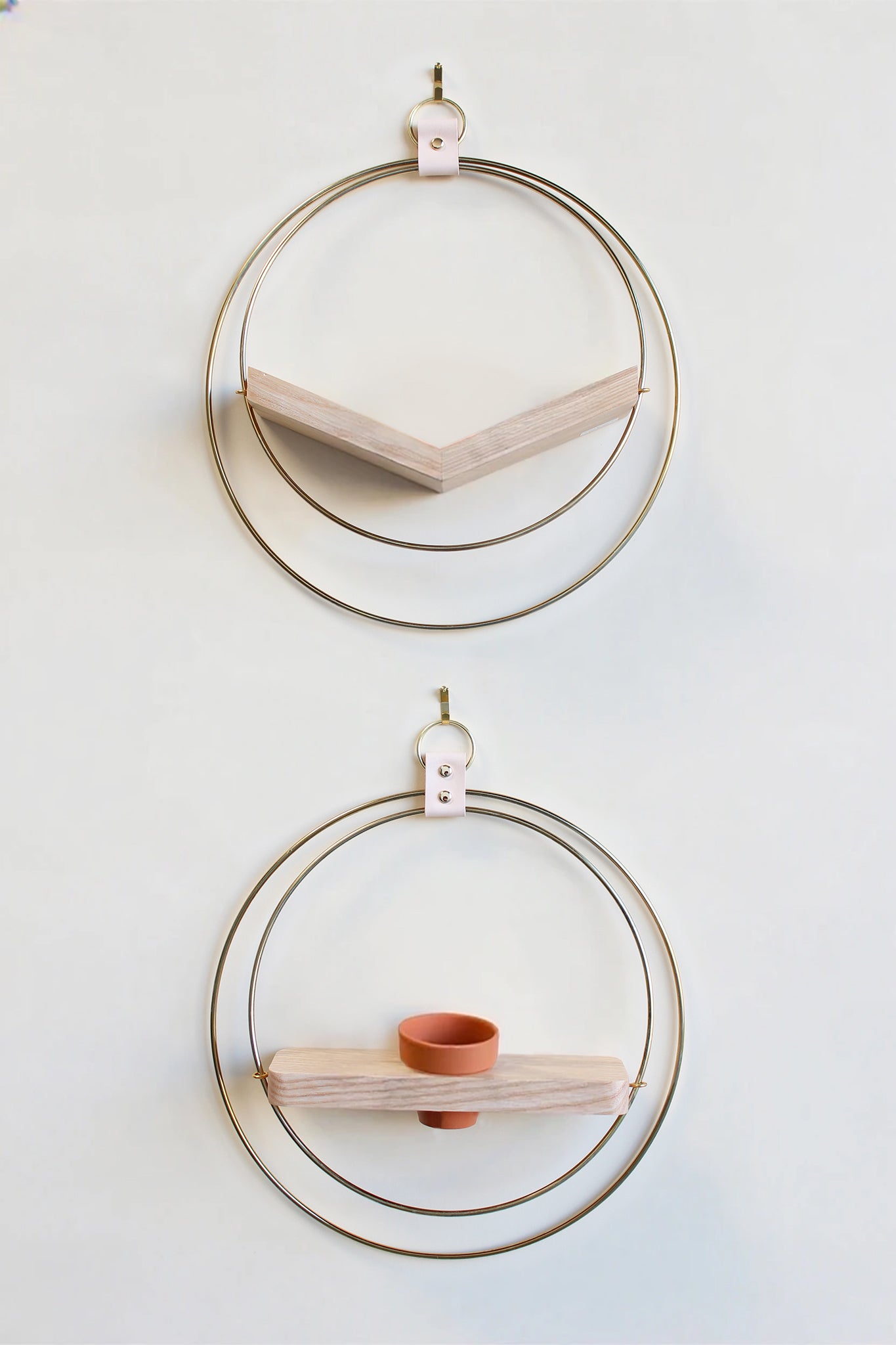 modern wall decor for air plants. gold circular air plant holder with light white ash wood on white background