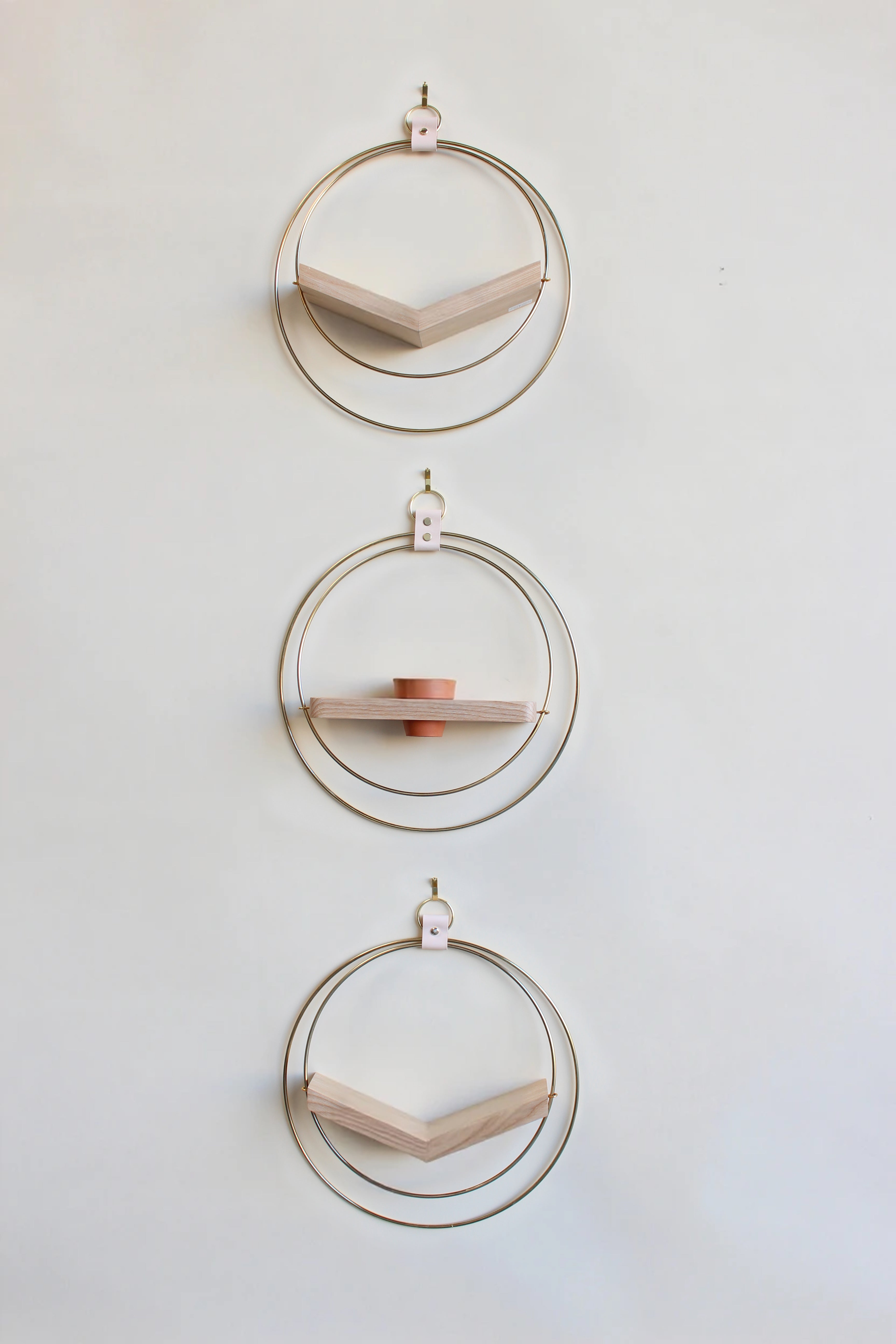 three gold circular wall mounted plant hangers on white background