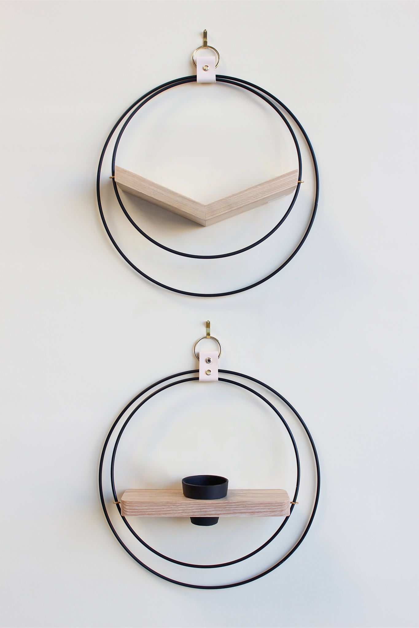 modern wall decor for air plants. matte black circular air plant holder with light white ash wood on white background
