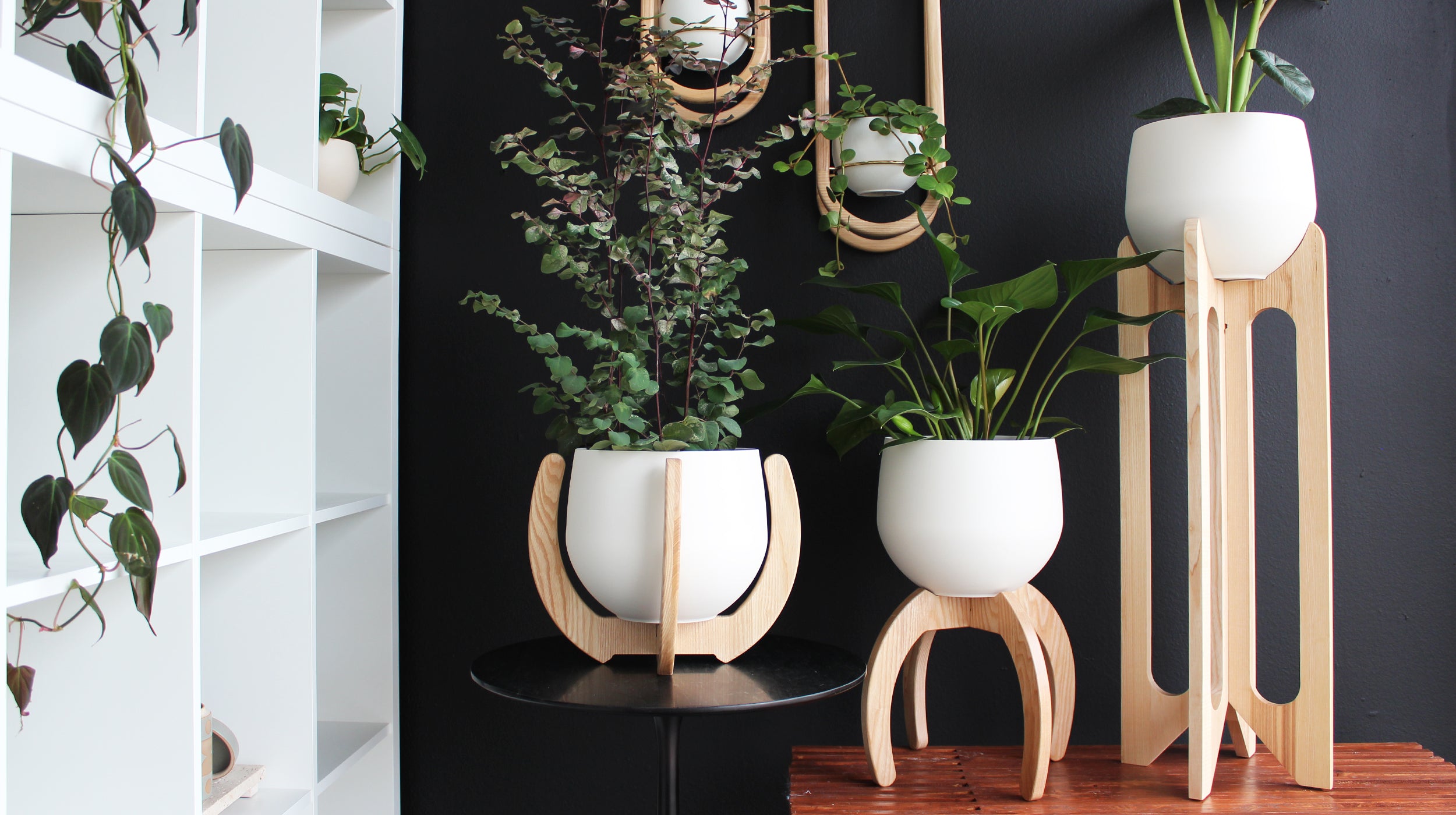 collection of modern light wood planters with white pots against a black wall