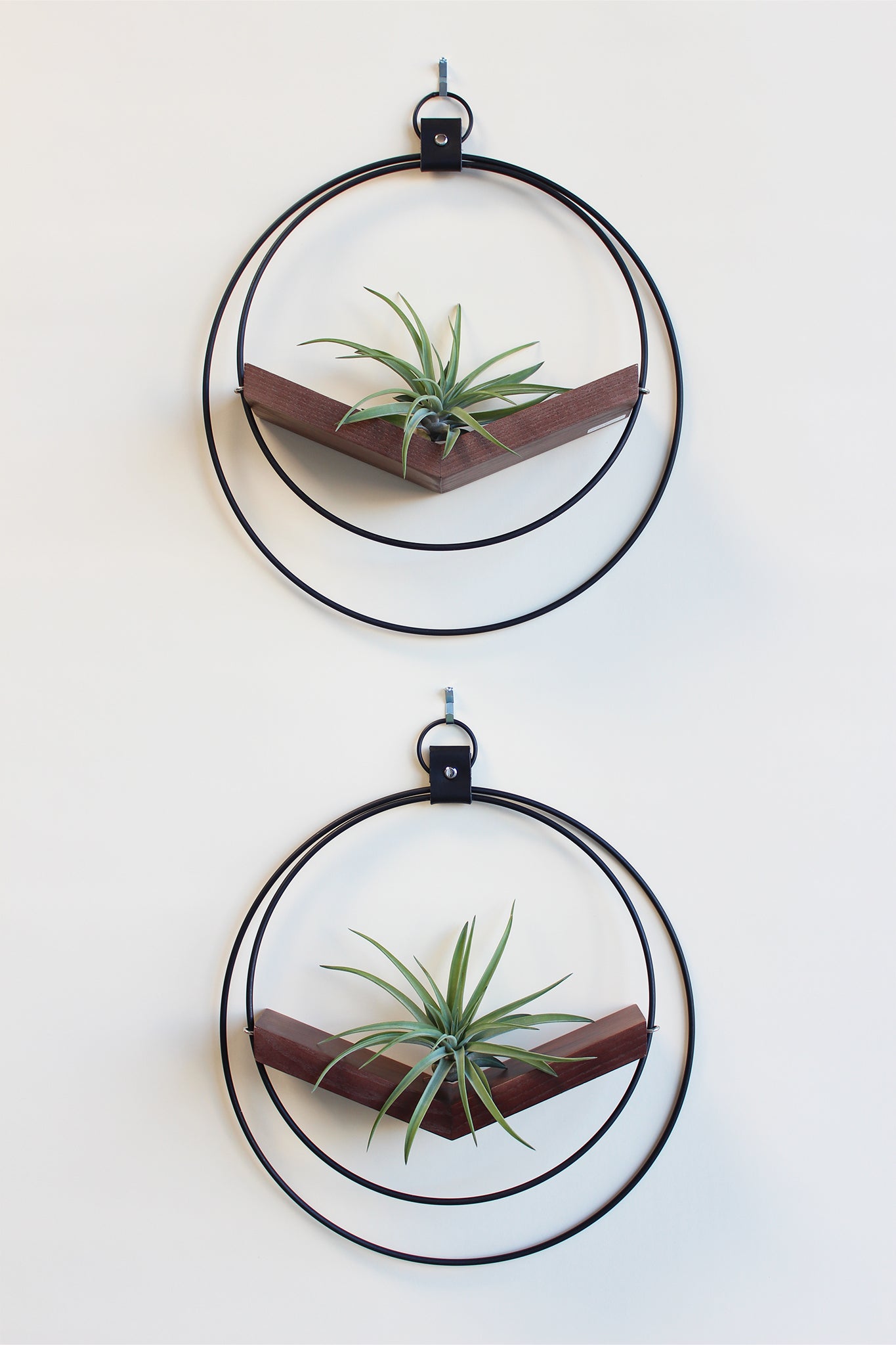 modern wall decor v hanging matte black plant shelf with walnut stained wood for air plants