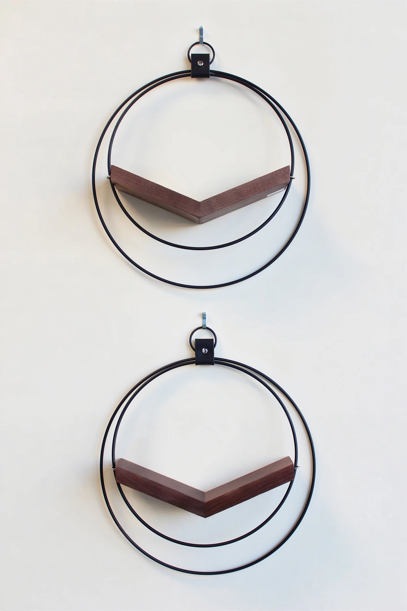 two large matte black circular modern wall mounted air plant holders with dark white ash hardwood on white background