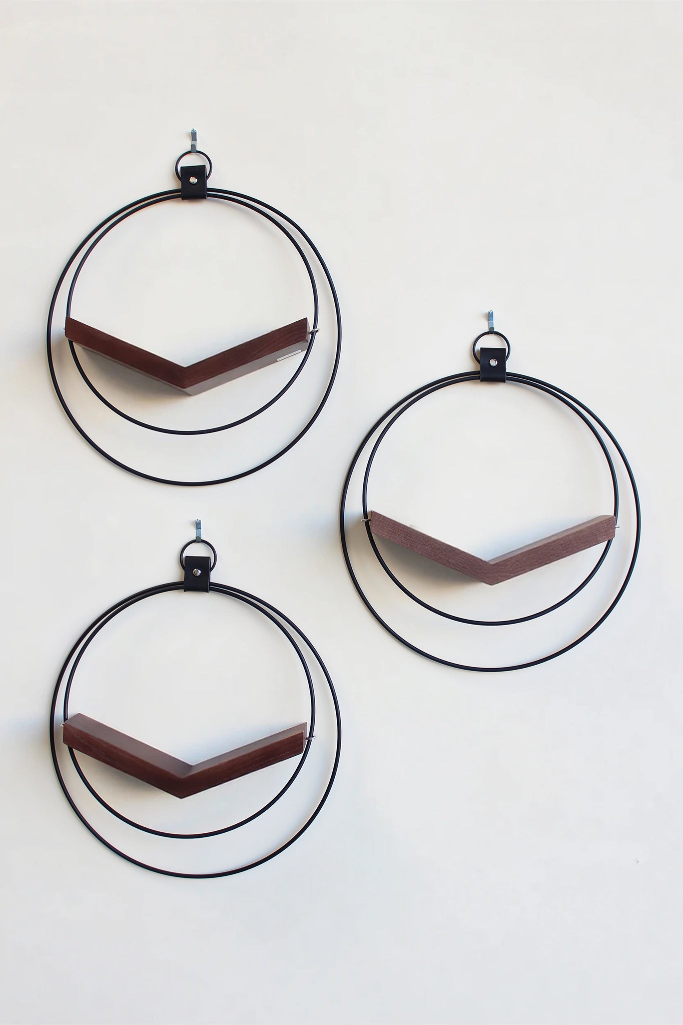 three matte black circular wall mounted air plant holders for wall decor on white background