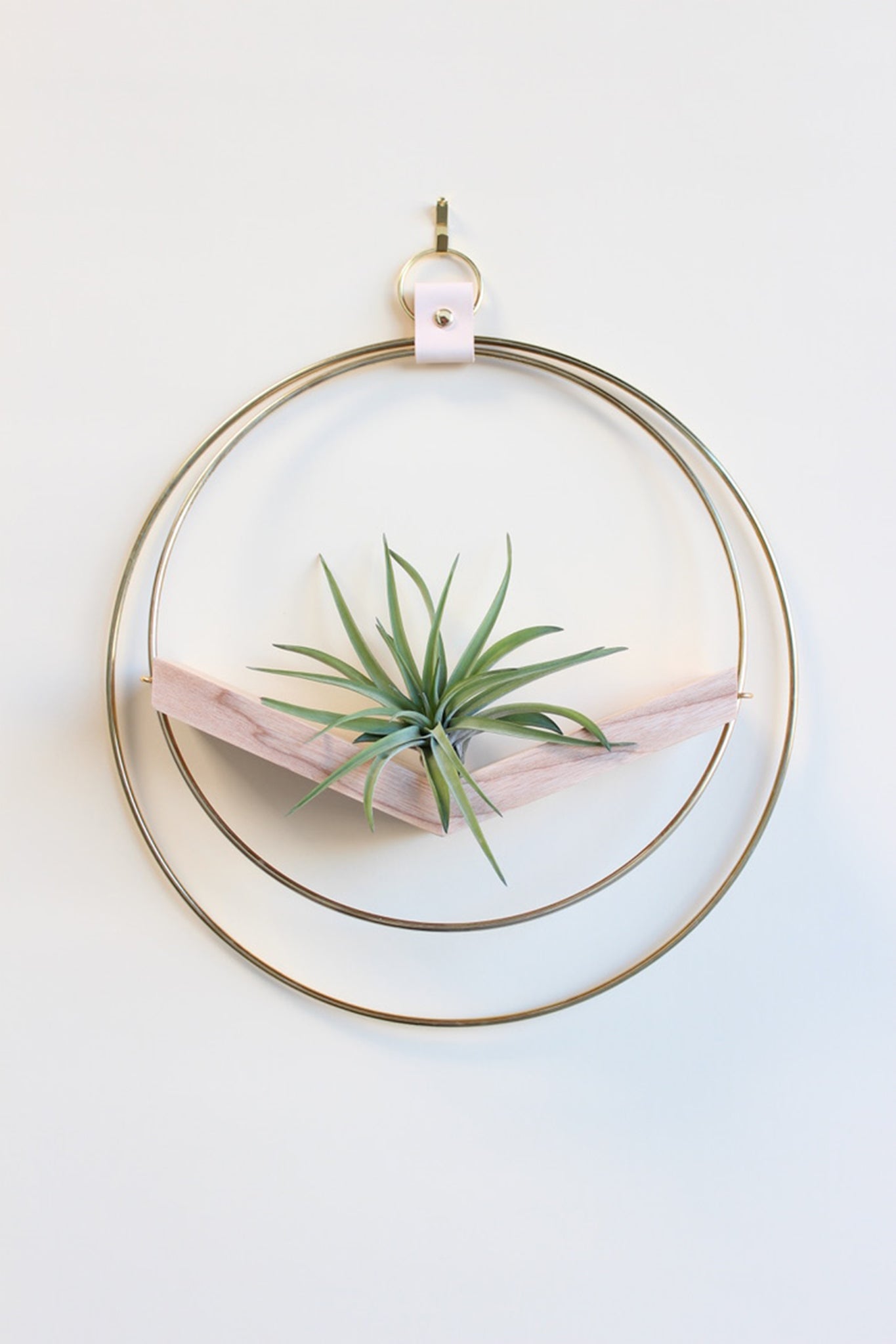 modern wall mounted large v shaped air plant hanger with gold rings and light wood v shelf