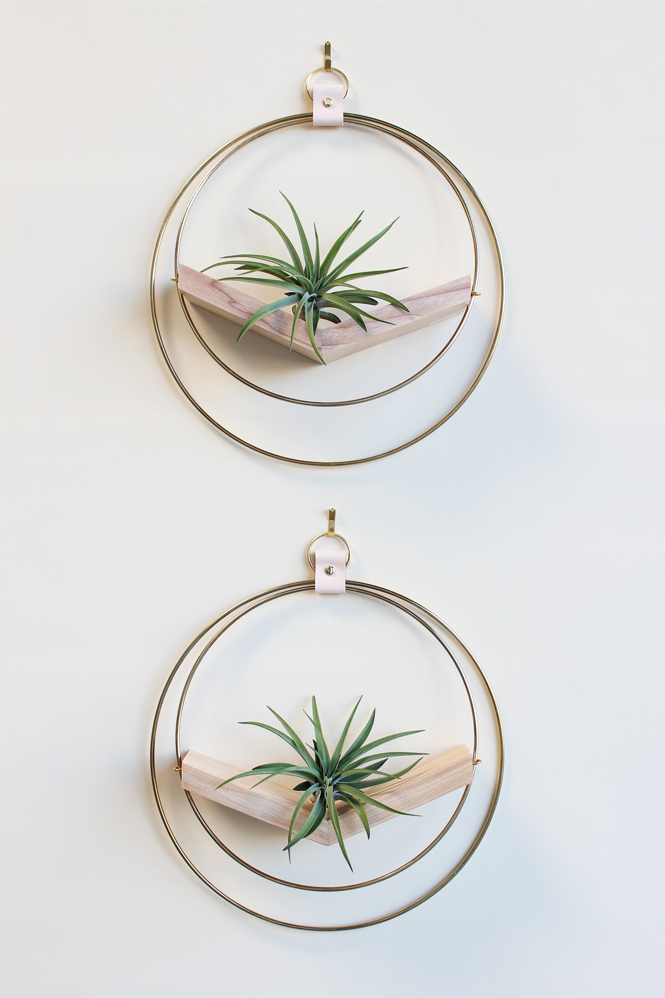 modern wall decor v hanging gold plant shelf with light stained wood for air plants