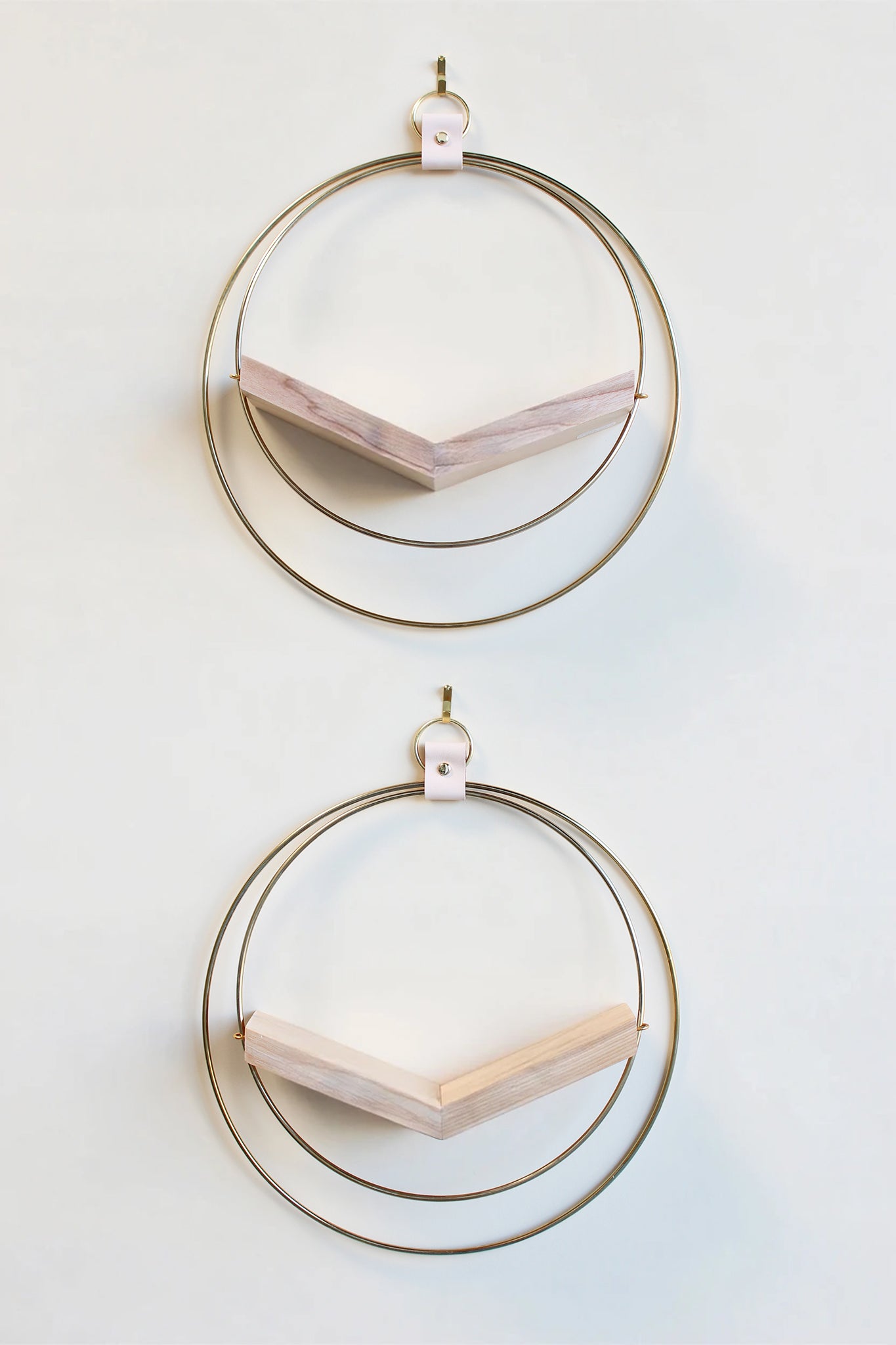 two large gold circular modern wall mounted air plant holders with light white ash hardwood on white background