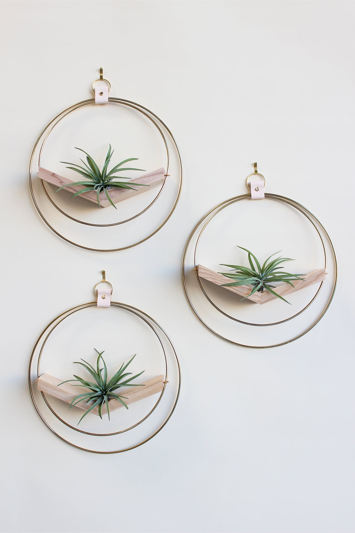 modern wall decor for air plants, large circular hanging planter with light wood v-shelf and gold rings