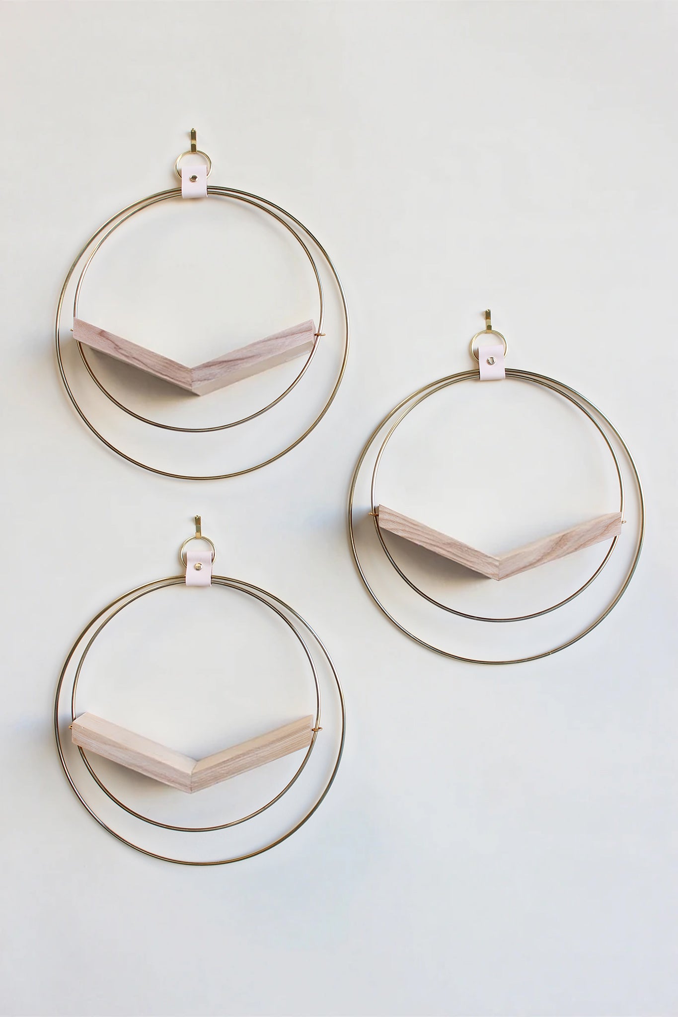 three gold circular wall mounted air plant holders for wall decor on white background