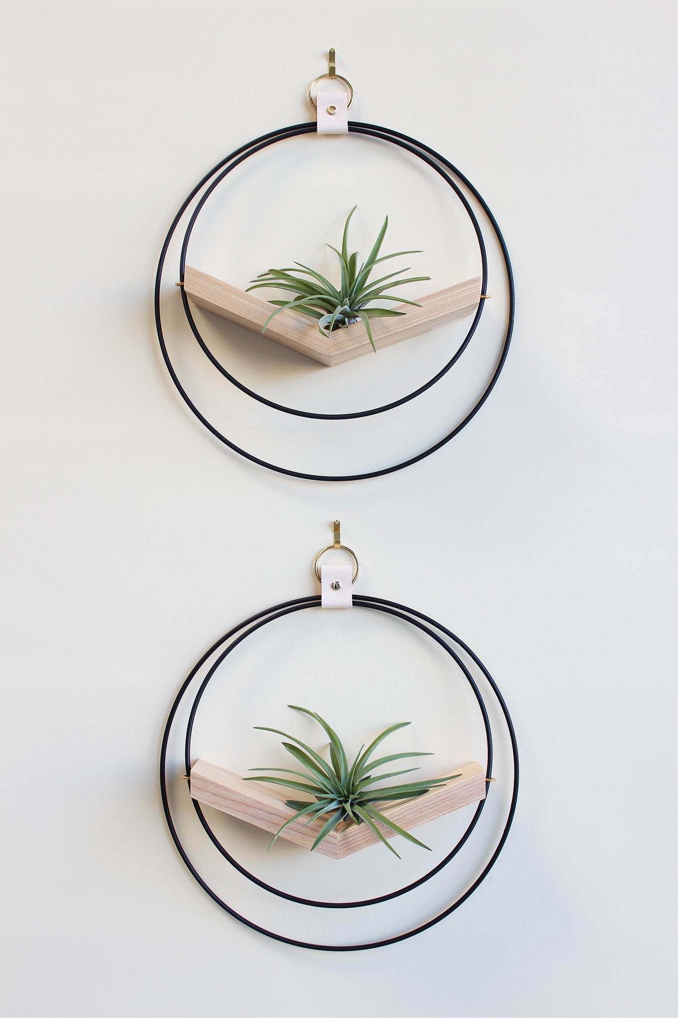 modern wall decor v hanging matte black plant shelf with light stained wood made for air plants
