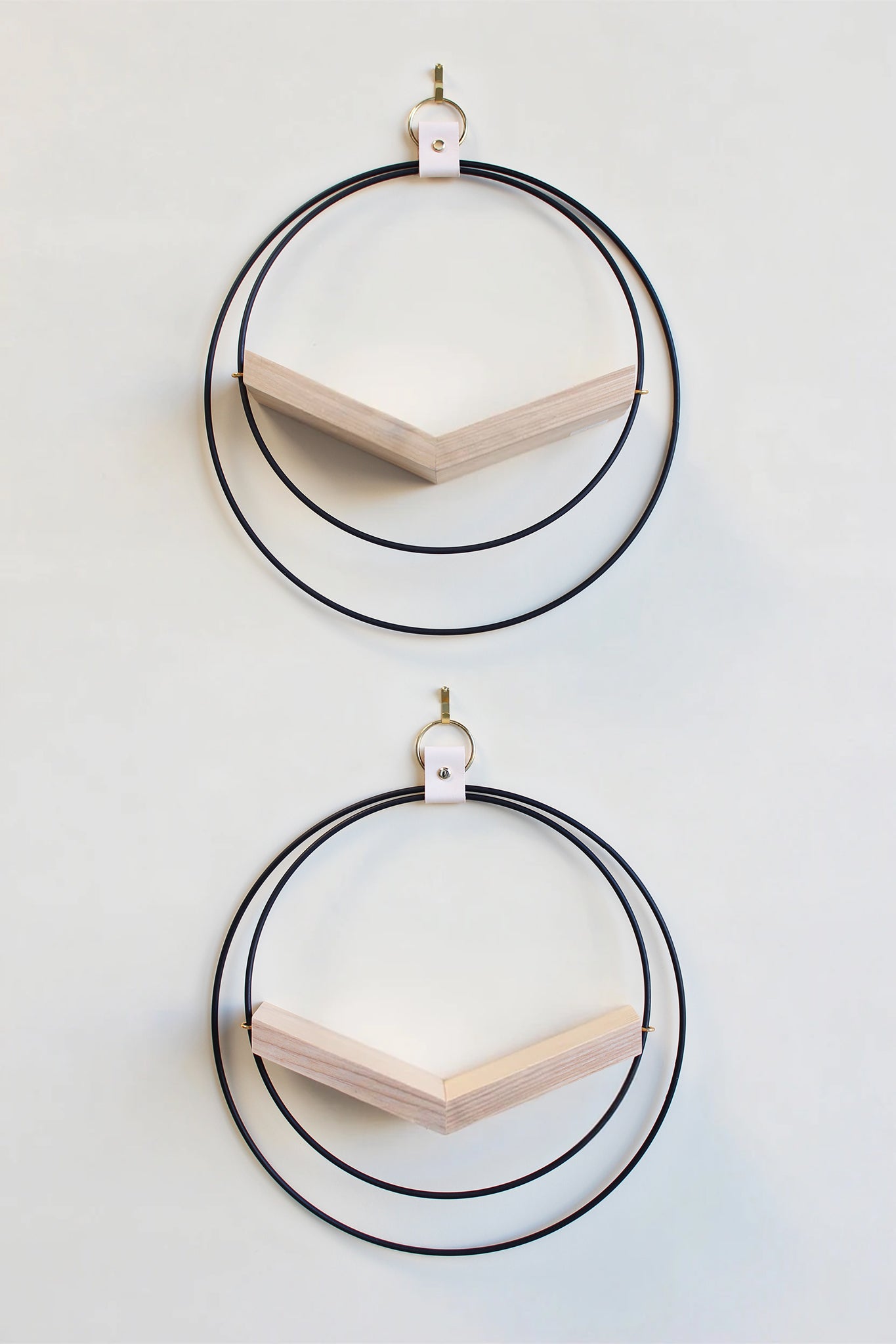 two large matte black circular modern wall mounted air plant holders with light white ash hardwood on white background
