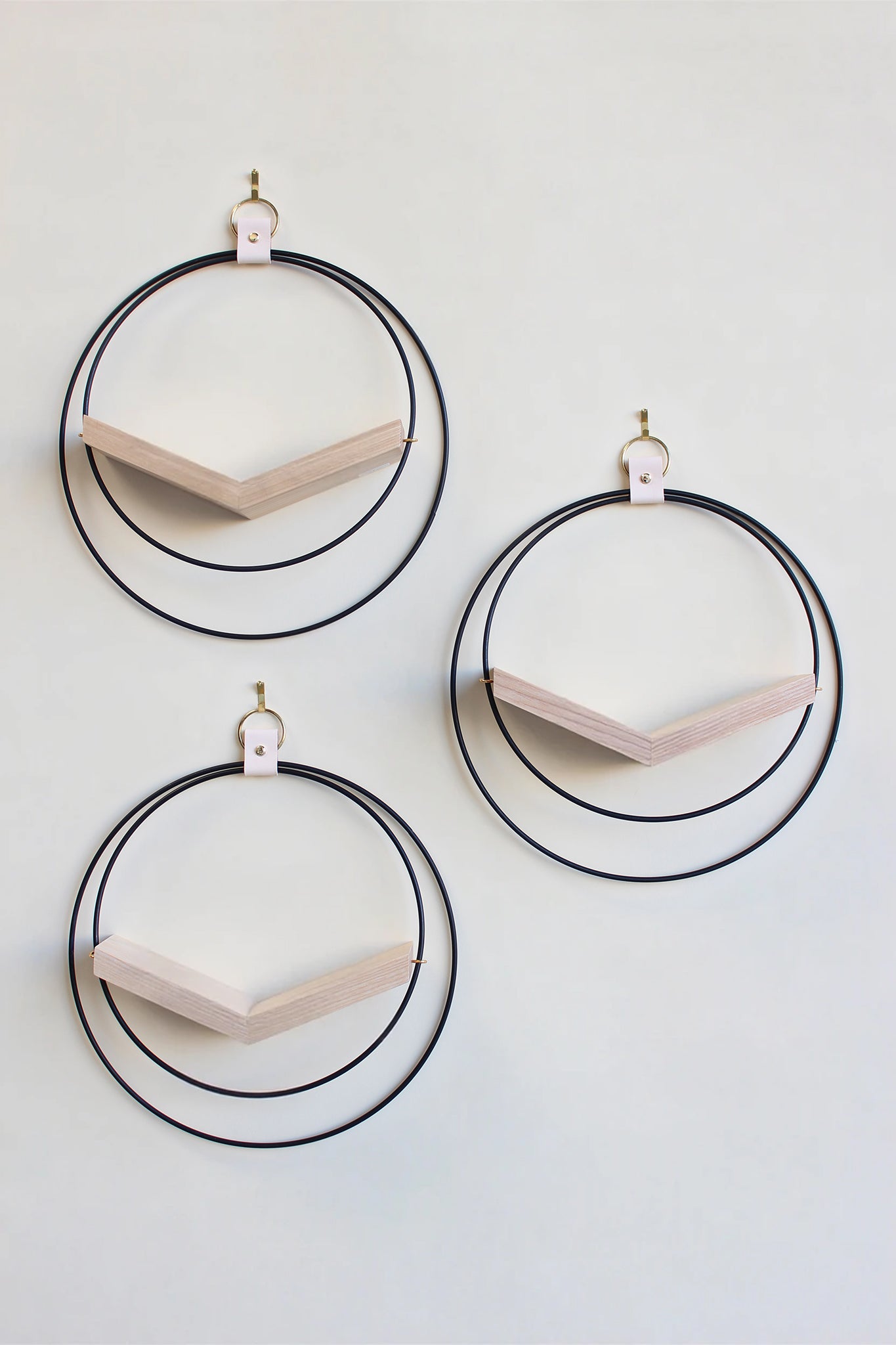 three matte black circular wall mounted air plant holders for wall decor on white background