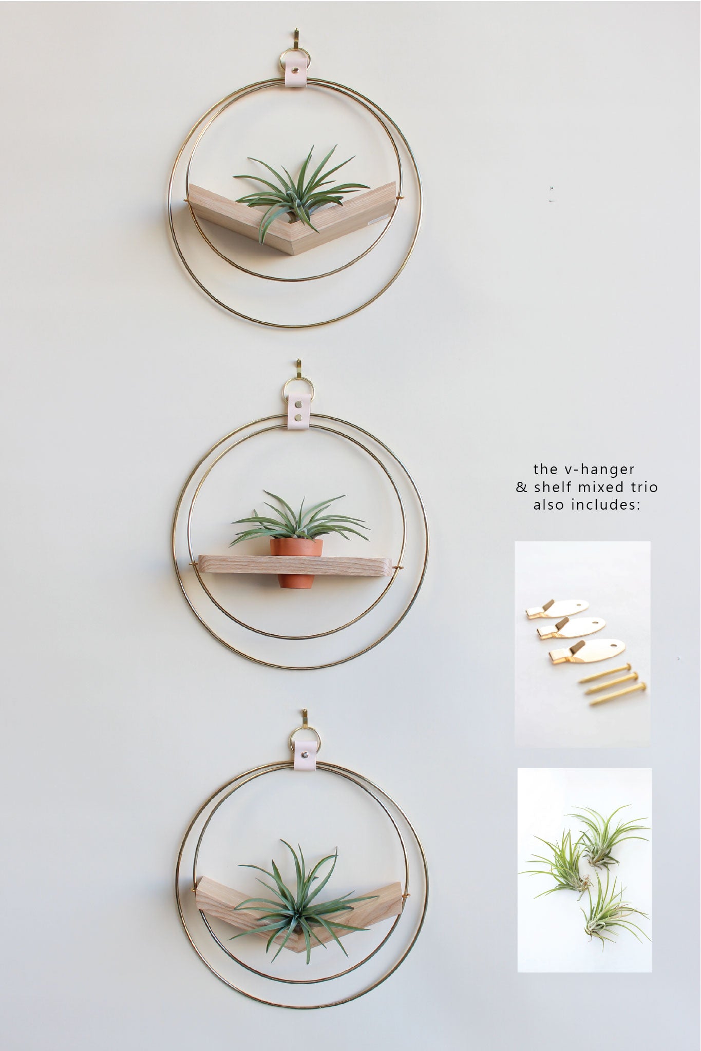 Air Plant V-Hanger & Shelf Mixed Trio