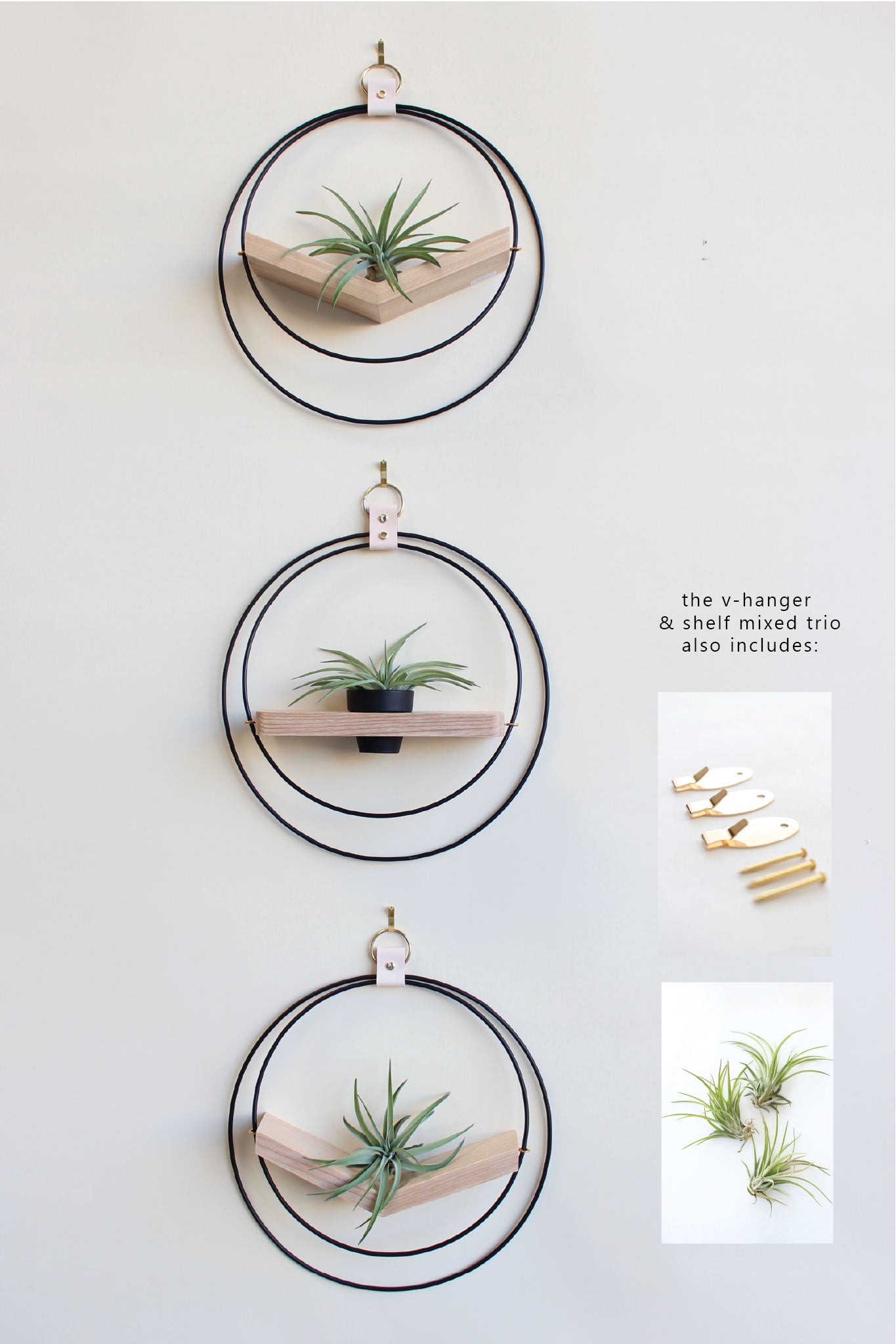 Air Plant V-Hanger & Shelf Mixed Trio