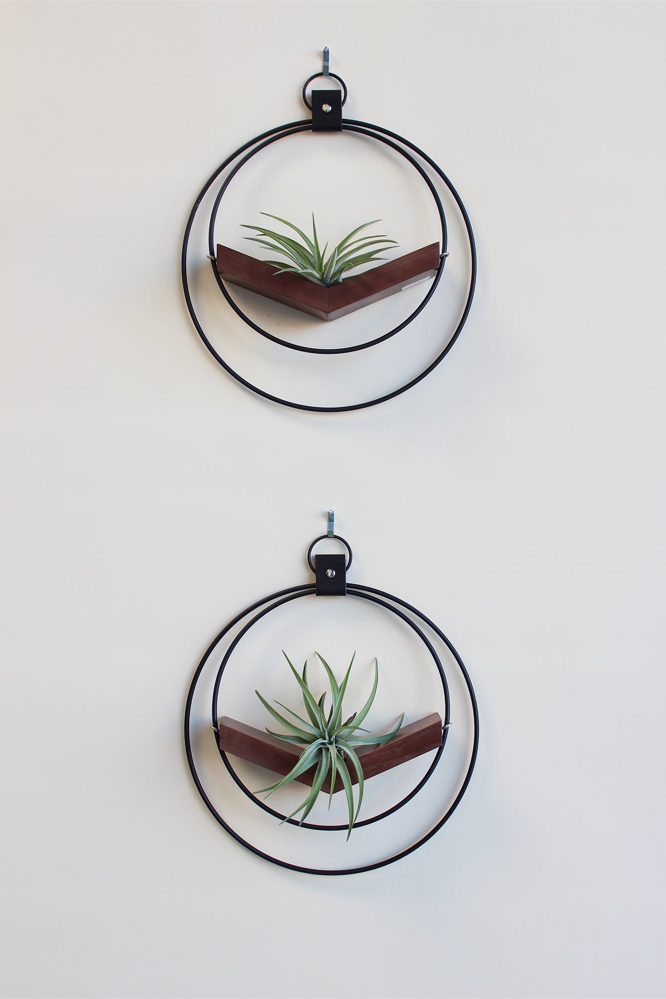 modern wall decor small v hanging matte black plant shelf with walnut stained wood for air plants