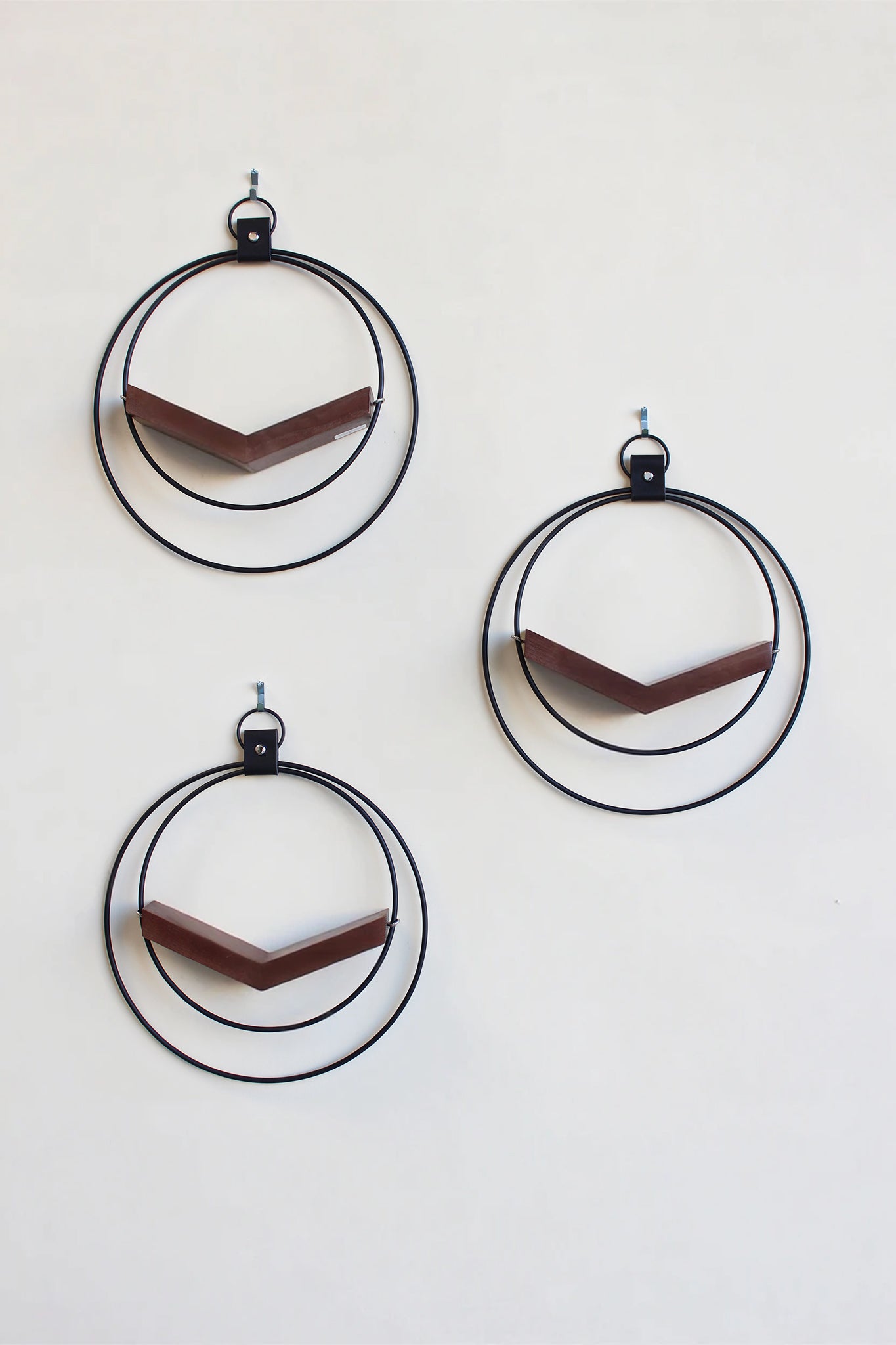 three matte black circular wall mounted air plant holders for wall decor on white background