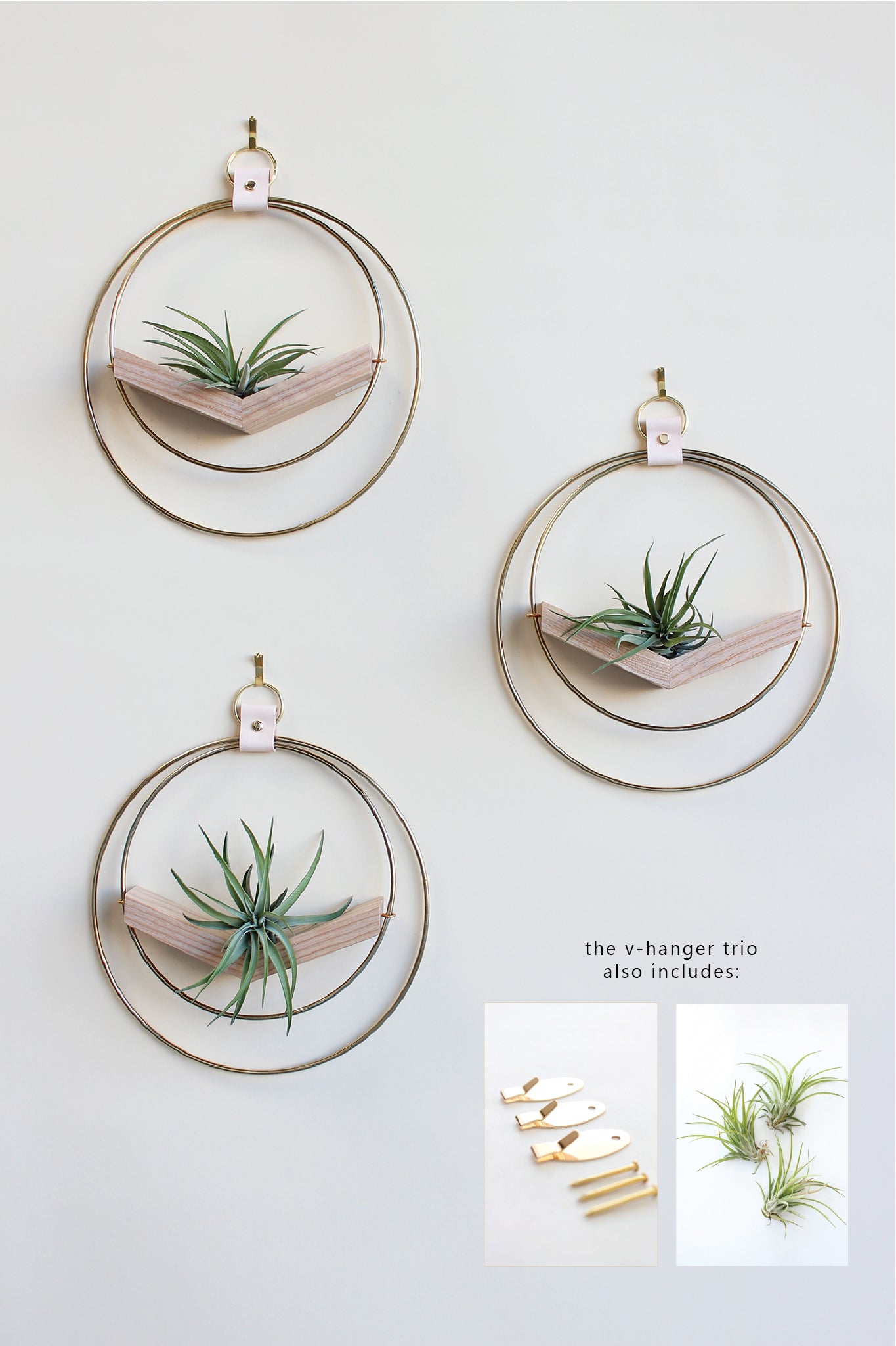 Air Plant V-Hanger Trio