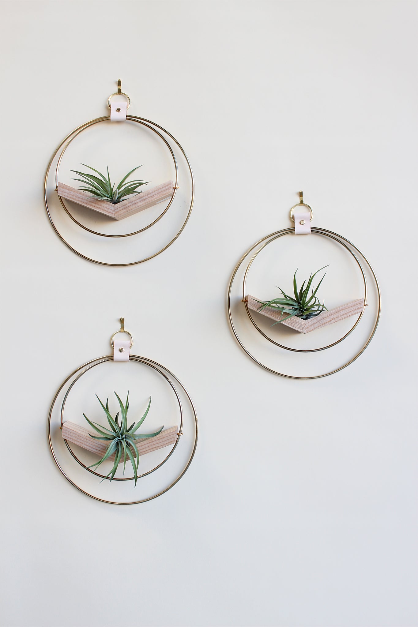 modern wall decor for air plants, small circular hanging planter with light wood v-shelf and gold rings