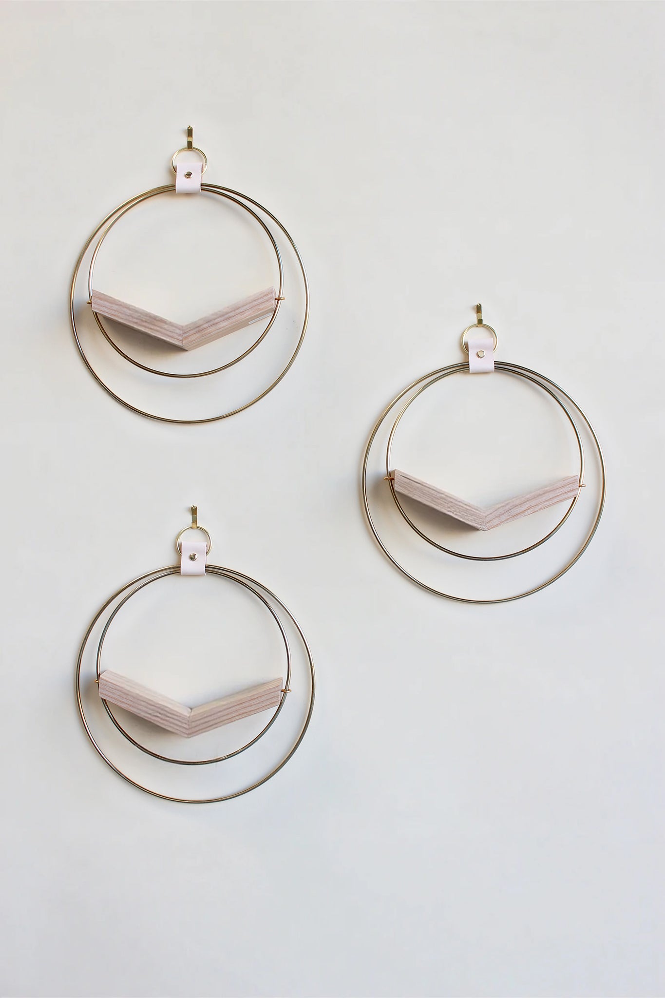 three gold circular wall mounted air plant holders for wall decor on white background