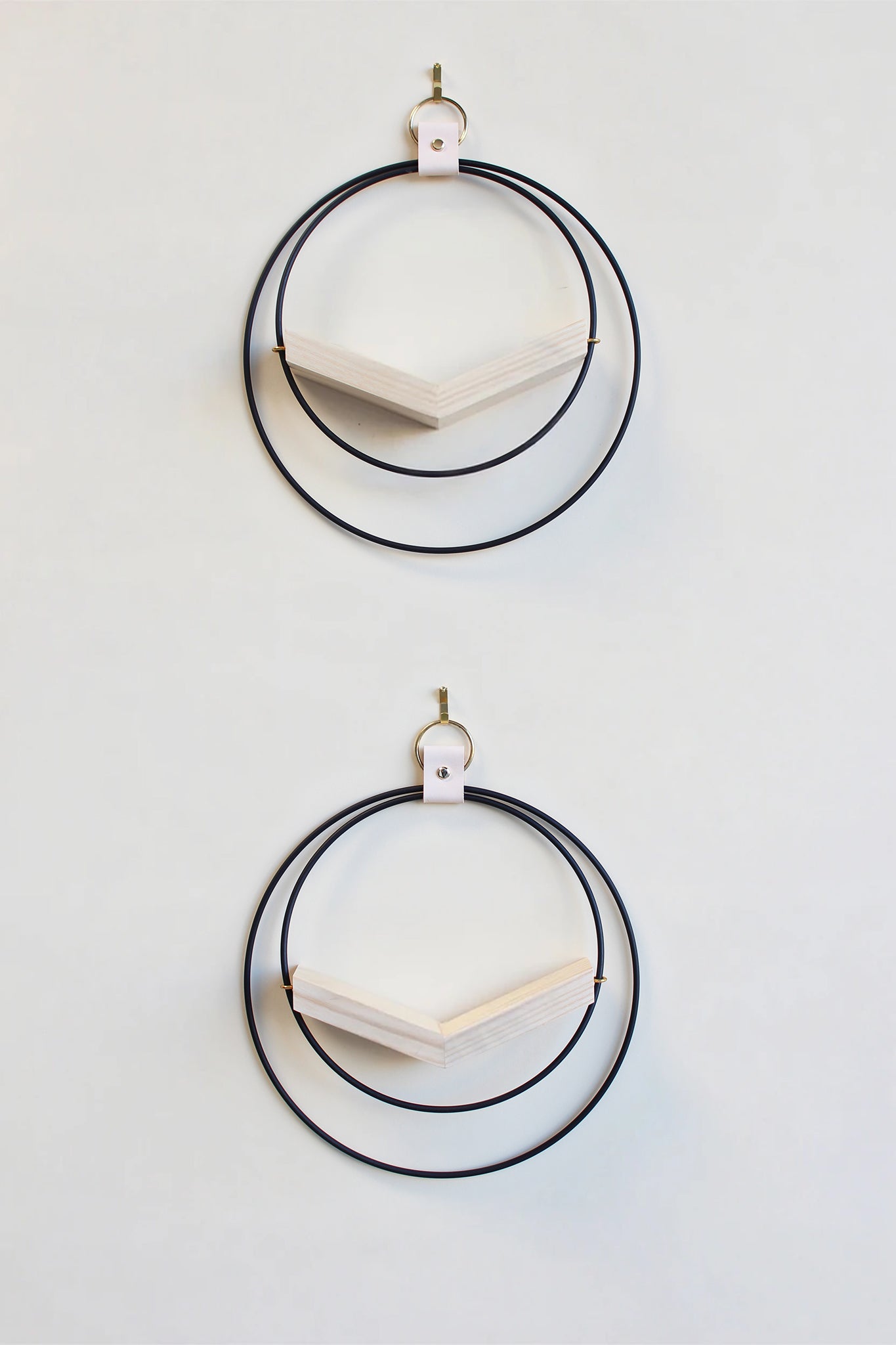 two small matte black circular modern wall mounted air plant holders with light white ash hardwood on white background