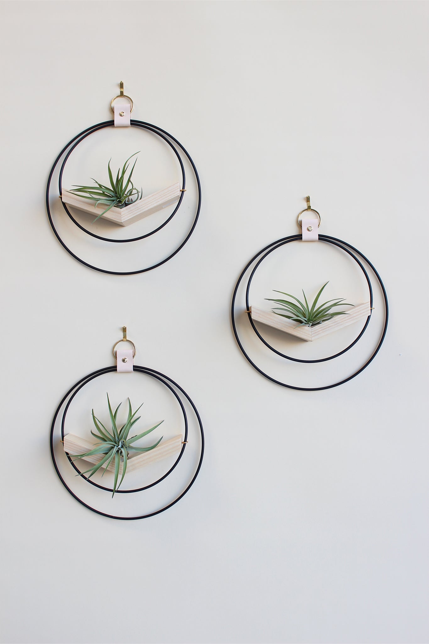 modern wall decor for air plants, small circular hanging planter with light wood v-shelf and matte black rings