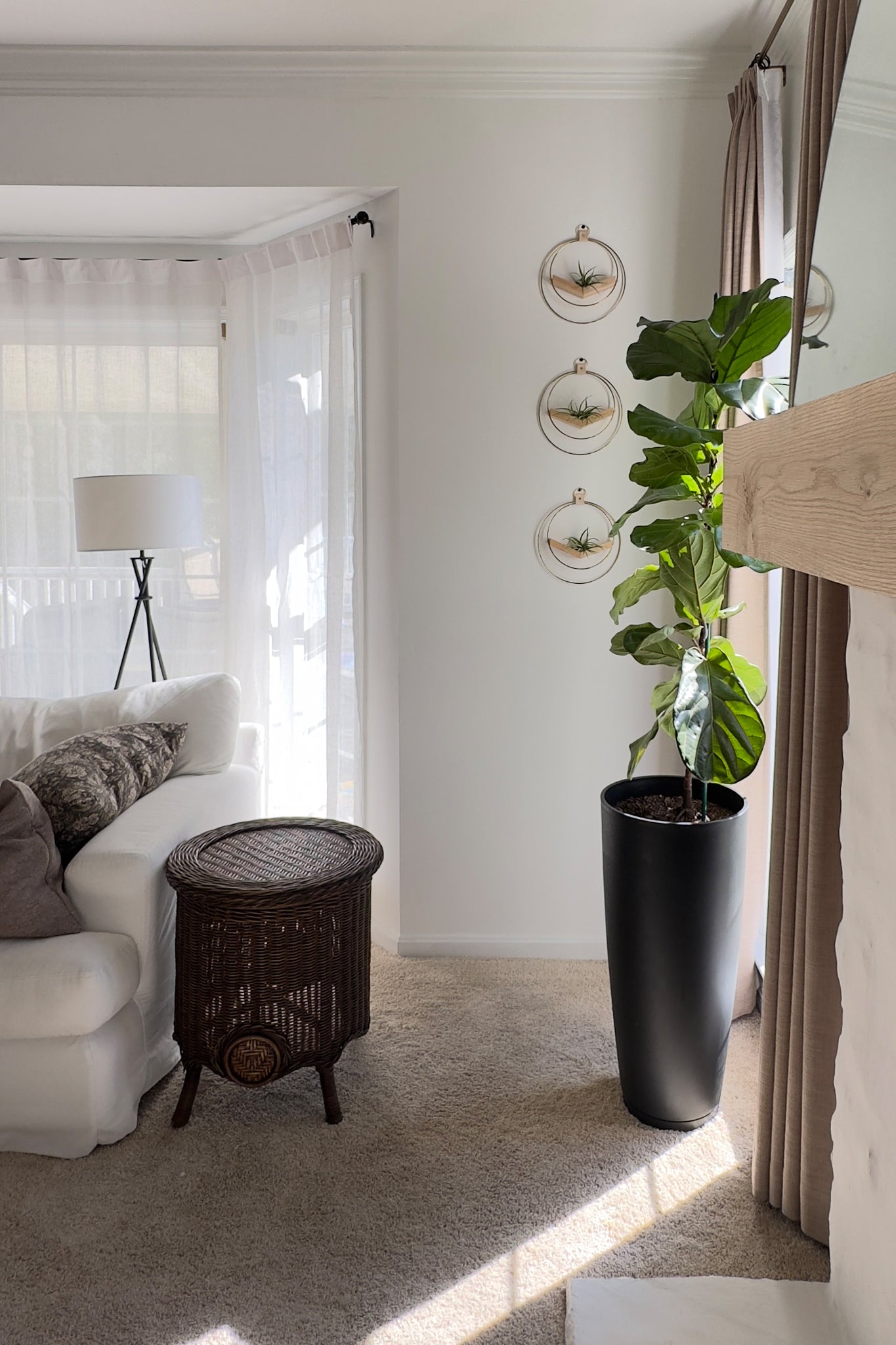 Living room with a white sofa, wicker side table, houseplants, and three wall mounted circular air plant hangers in a vertical line on a neutral wall.