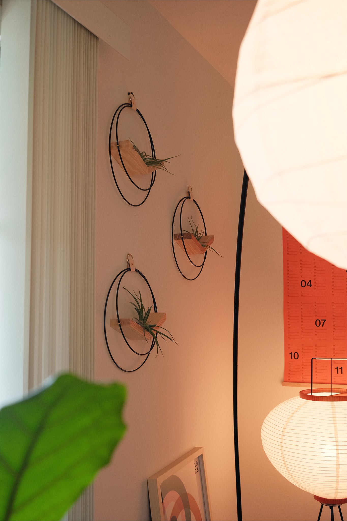 Three wall mounted circular air plant hangers on a white wall with lamps, a wall calendar, and framed art also in the room.