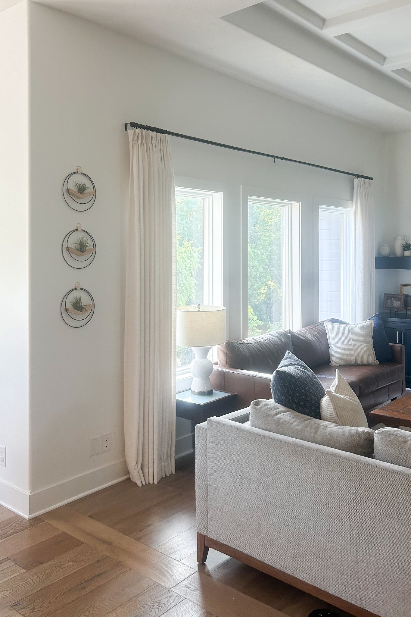 A modern living room with a gray sofa, white walls, large windows, and three wall-mounted circular air plant hangers in a vertical line on the wall.