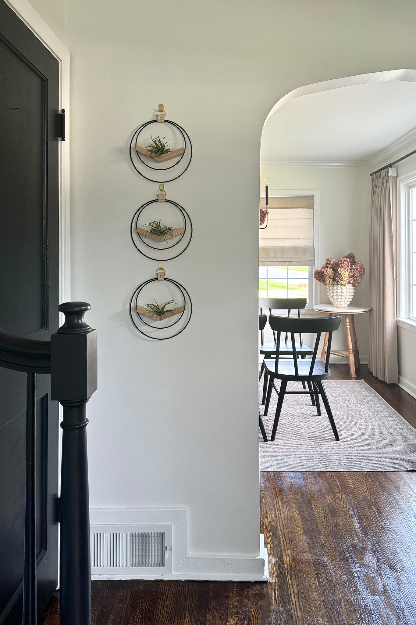An entryway showing a part of the dining room with dark wood chairs and dried flowers. In the hallway there are three wall-mounted circular air plant hangers in a vertical line on the wall next to a black door.
