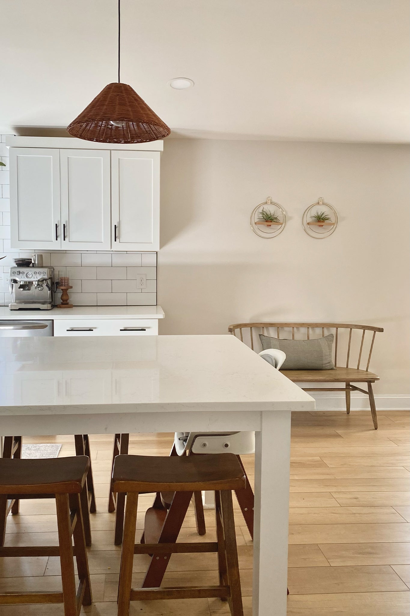 A modern kitchen with white island, wooden stools, and two wall-mounted circular planters with air plants in a terra cotta pot above a bench.