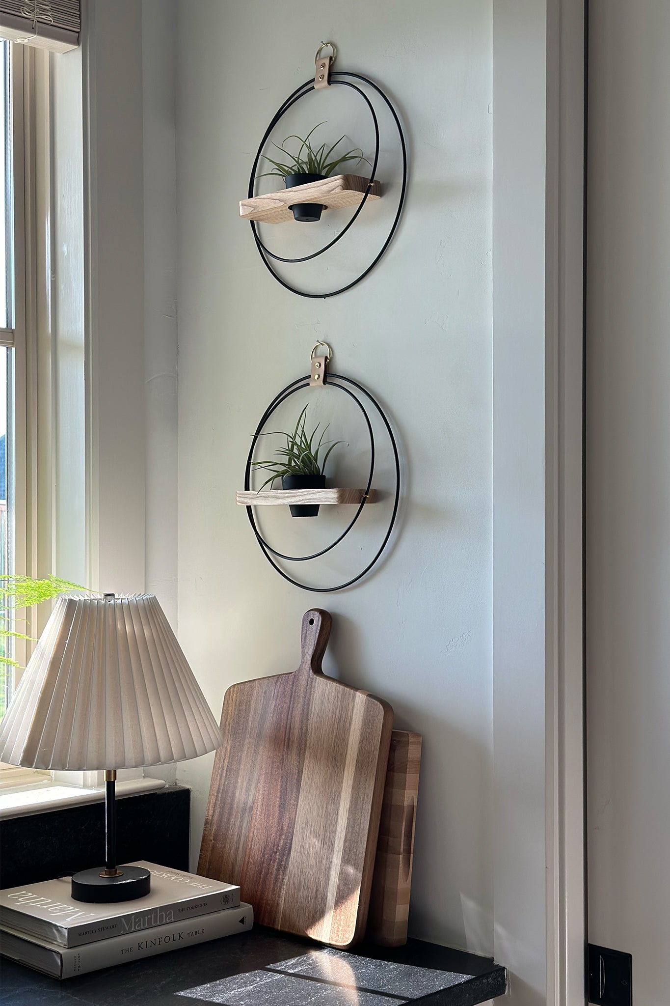 Wall-mounted circular planters with air plants in a terra cotta pot a neutral wall above a modern kitchen counter. The counter has books, a cutting board, and a lamp on it.
