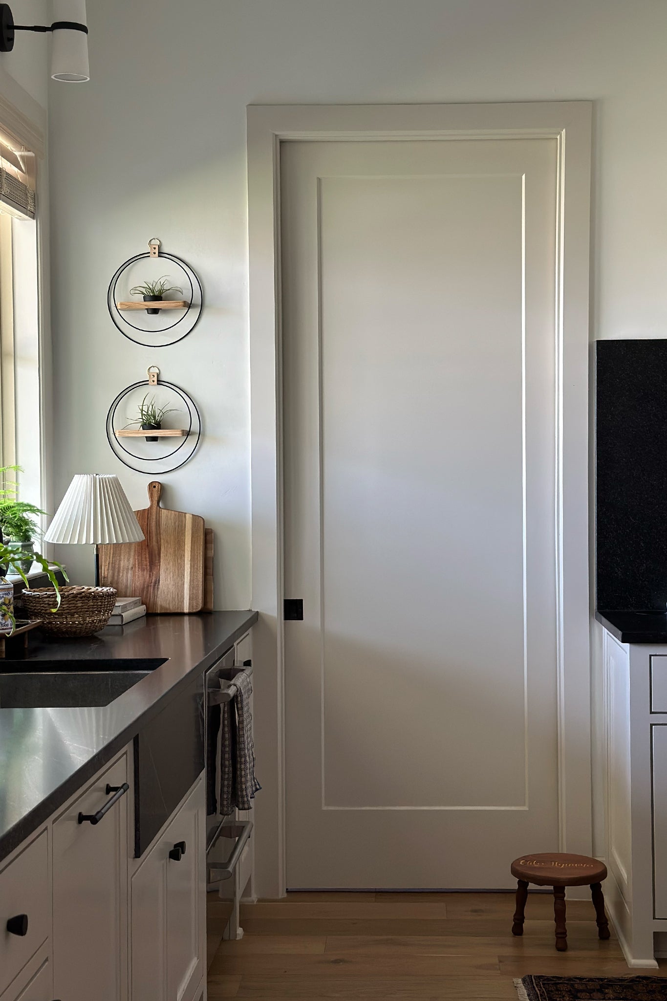 Wall-mounted circular planters with air plants in a terra cotta pot a neutral wall above a modern kitchen counter. The counter has books, a cutting board, and a lamp on it.