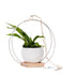 large plant hanger with white metal and maple wood base and white colored aluminum pot