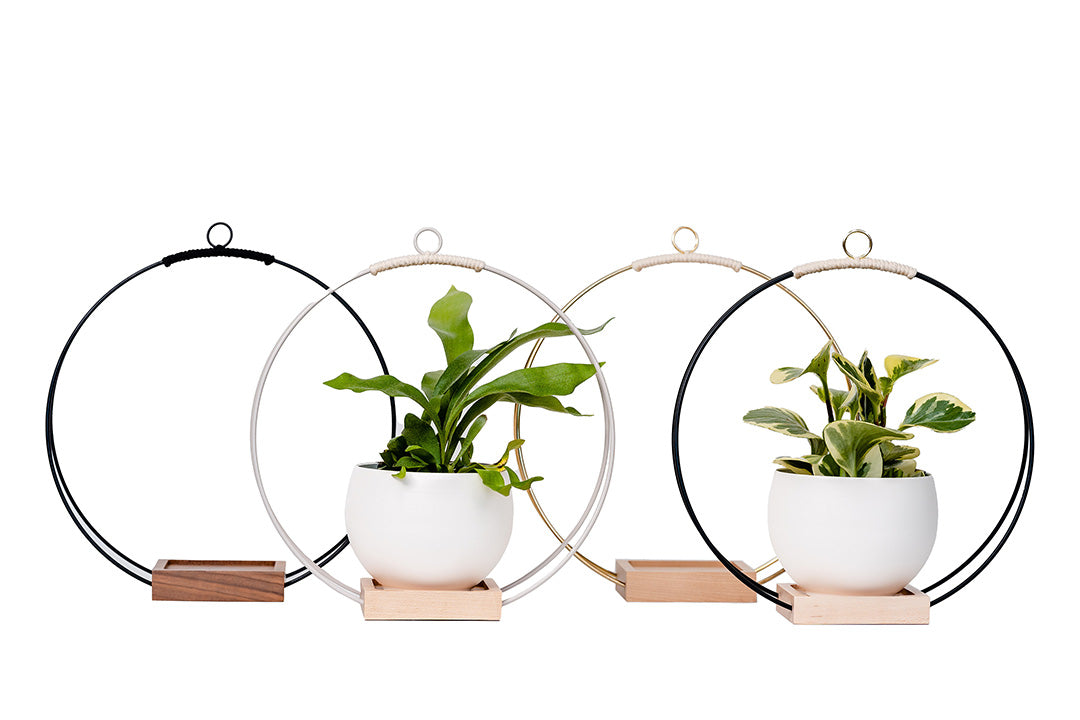 multiple aluminum white colored pots with plant hangers