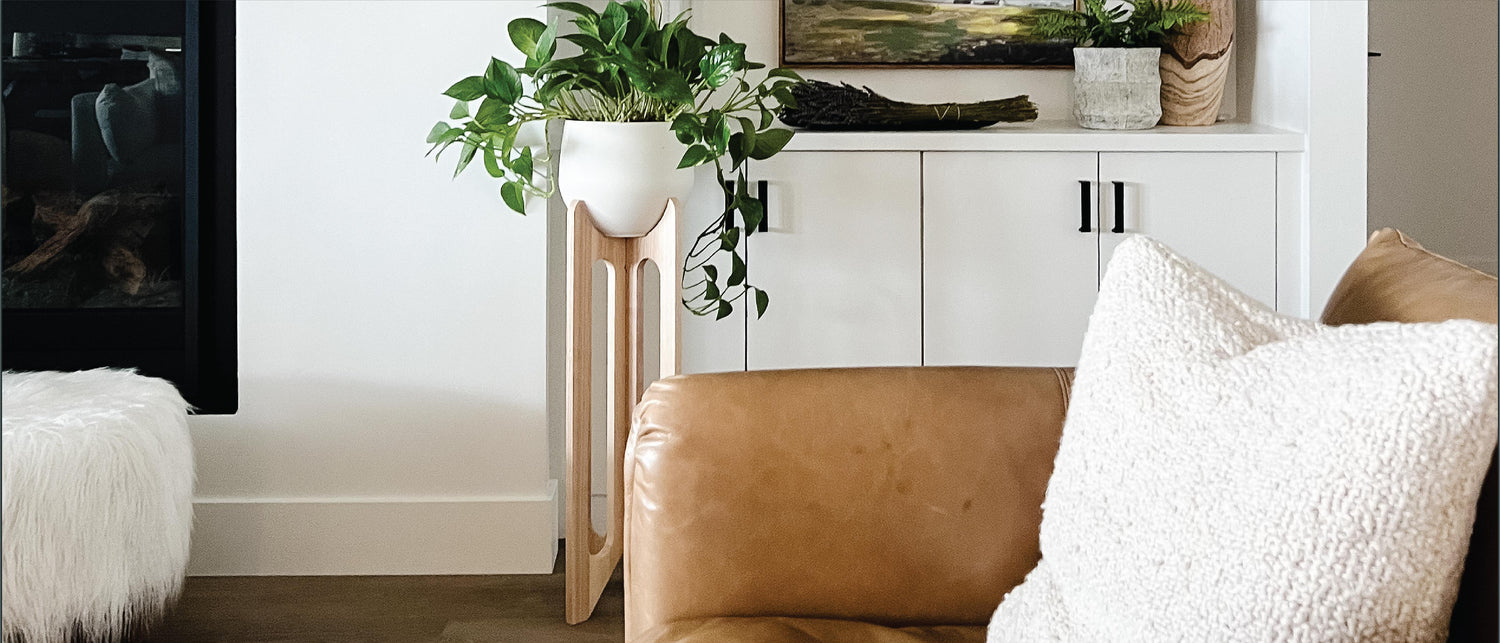 arches-plant-stand-modern-living-room-leather-couch-braidandwood