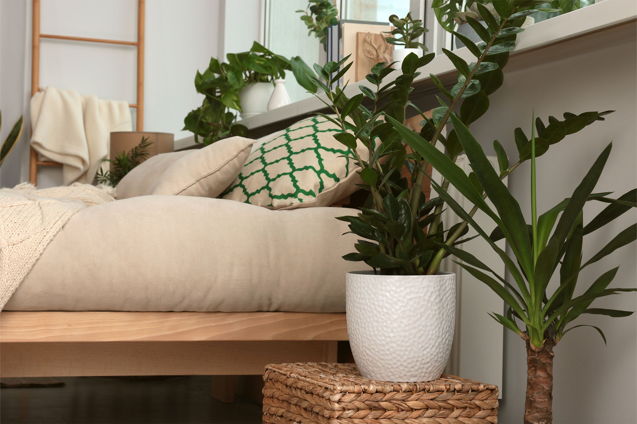 modern platform bed with potted plants on basket