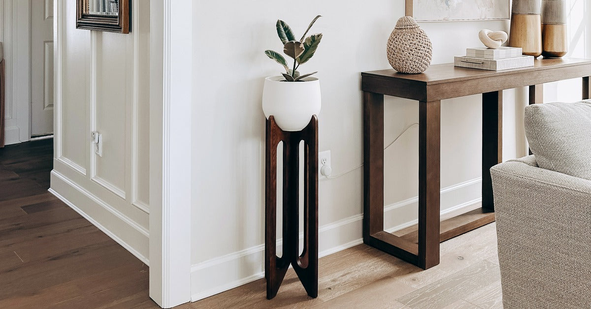 The Best Plants for Your Arches Plant Stand