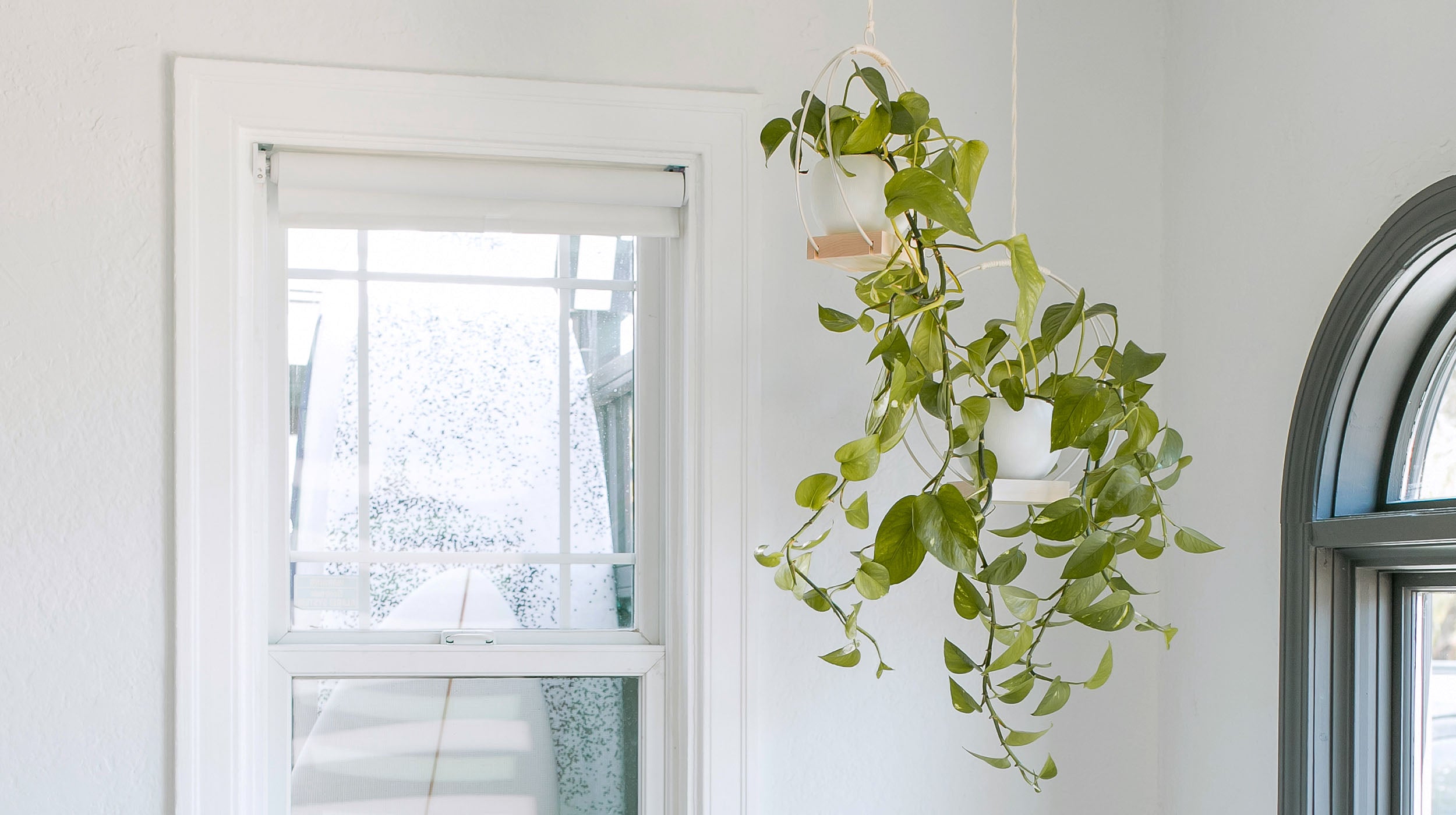 braid and wood hanging planters in white suspended from ceiling with pothos houseplant