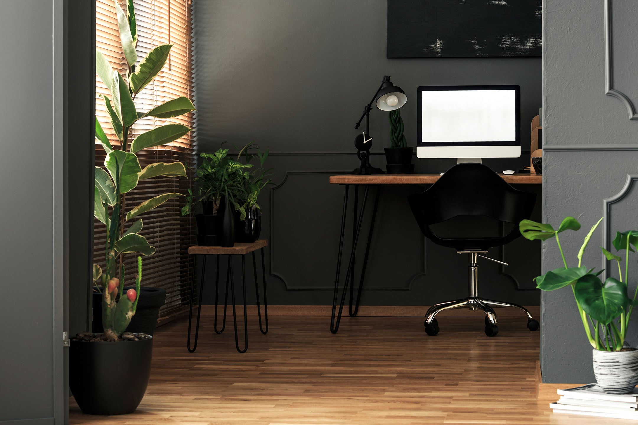 dark and moody home office with houseplants