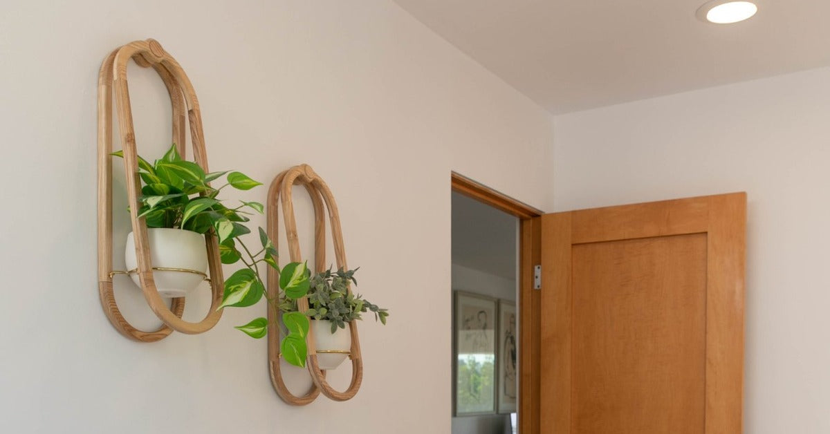 Behind the Design | The Real Journey of the Frame Wall Planter