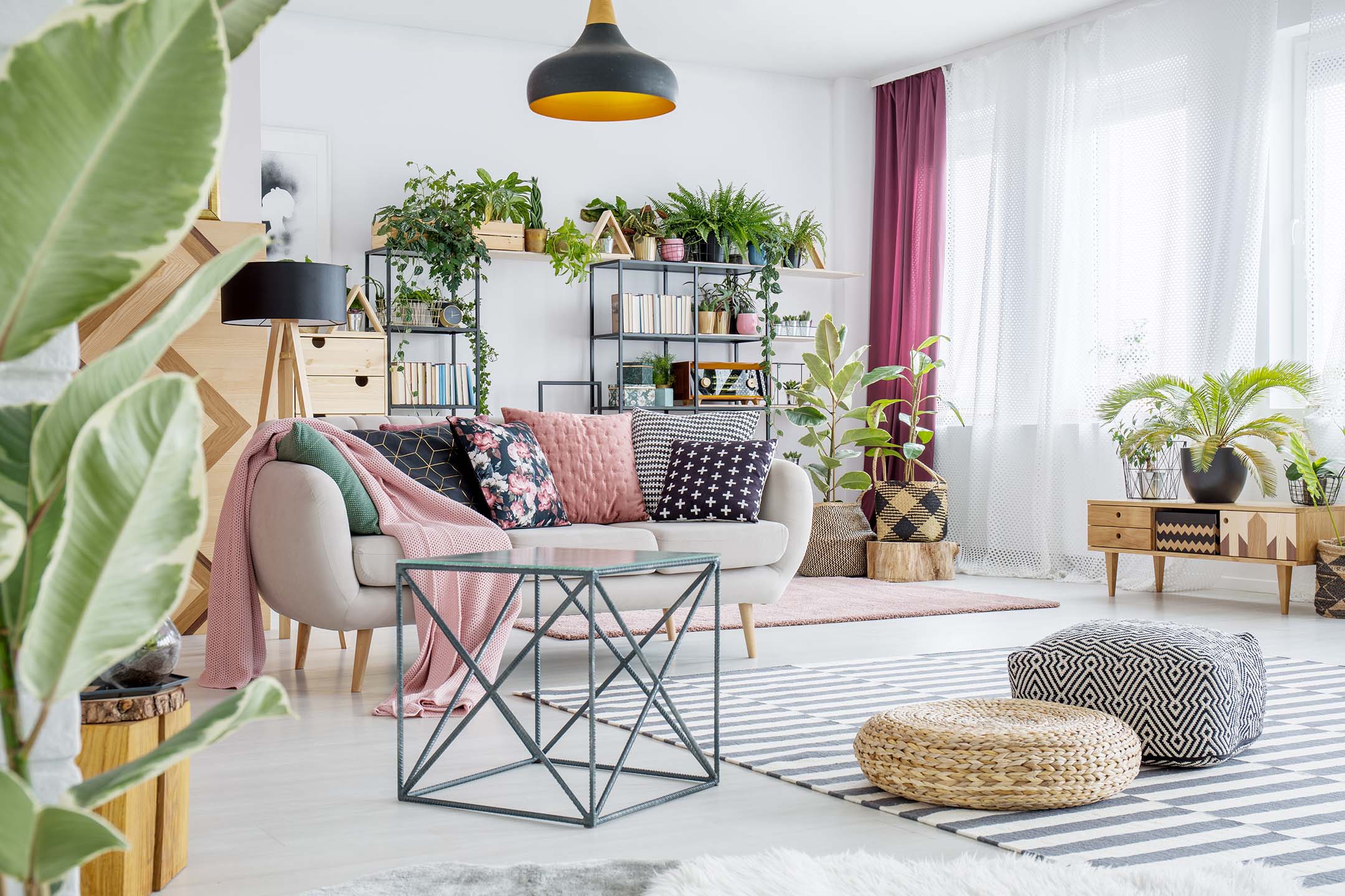 bright and modern livingroom styled with houseplants