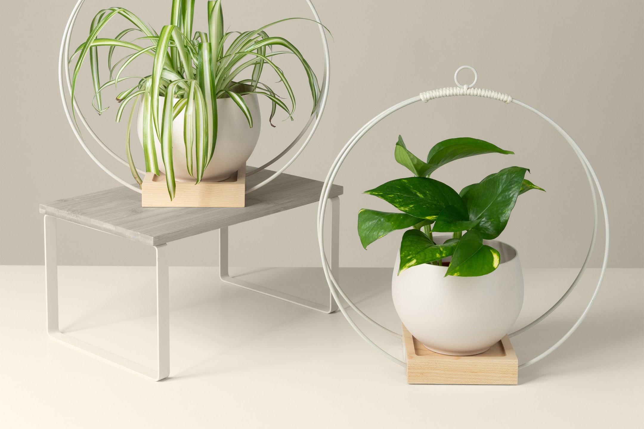 modern hanging planters by Braid & Wood